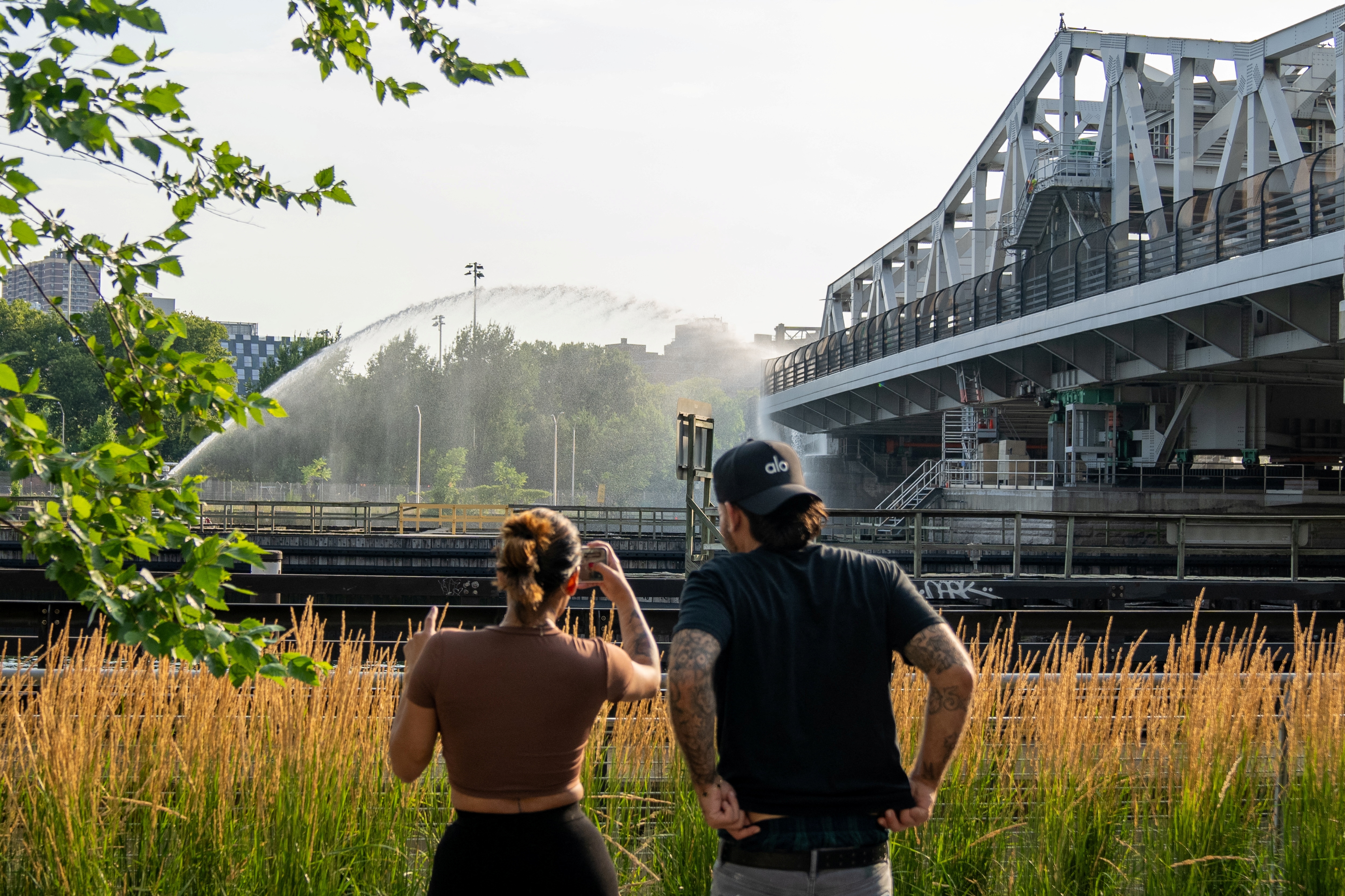 most, bronx, manhattan, promet, cesta, new york