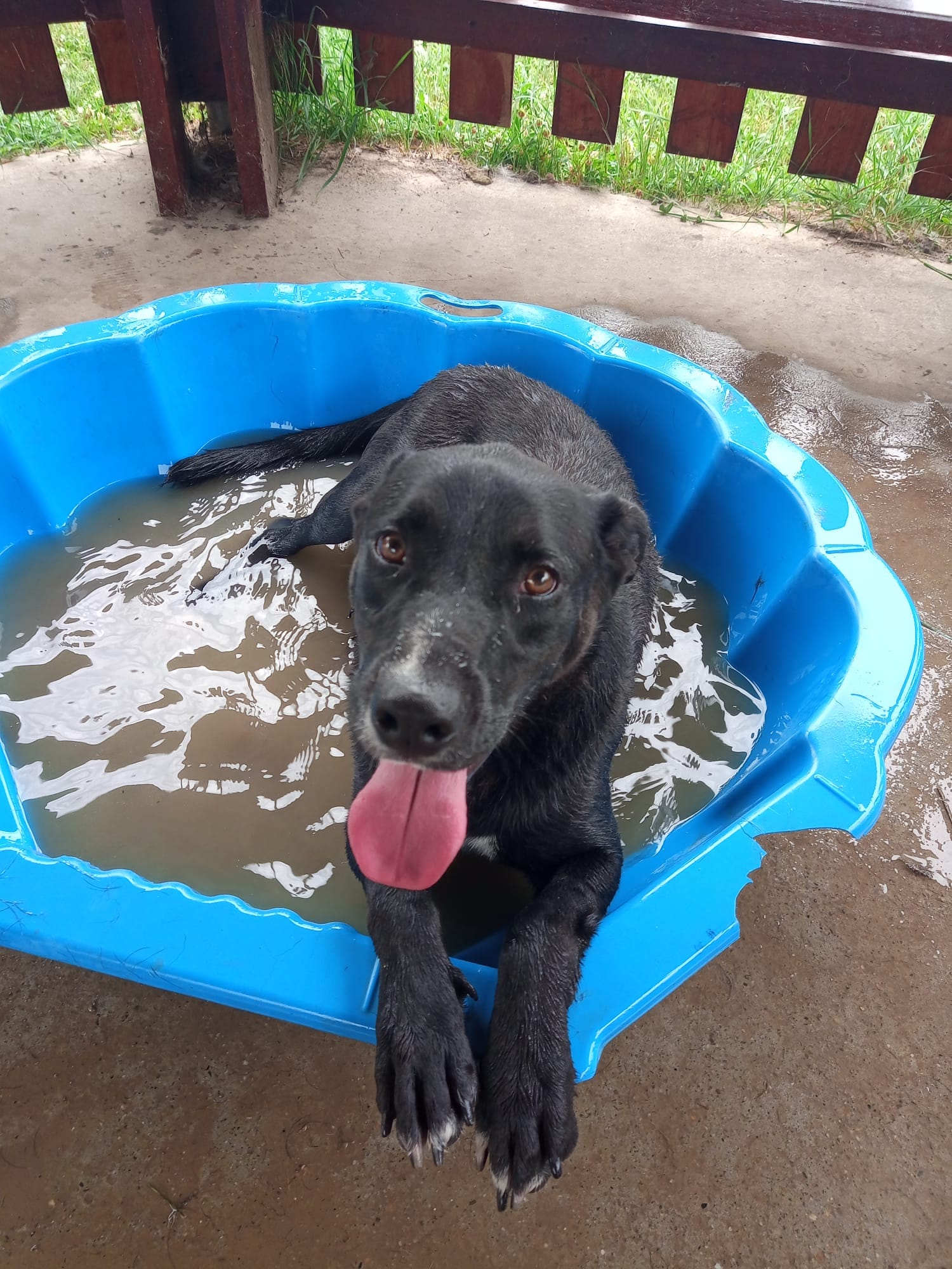 452770654_122158227626106873_1537025423099394454_n