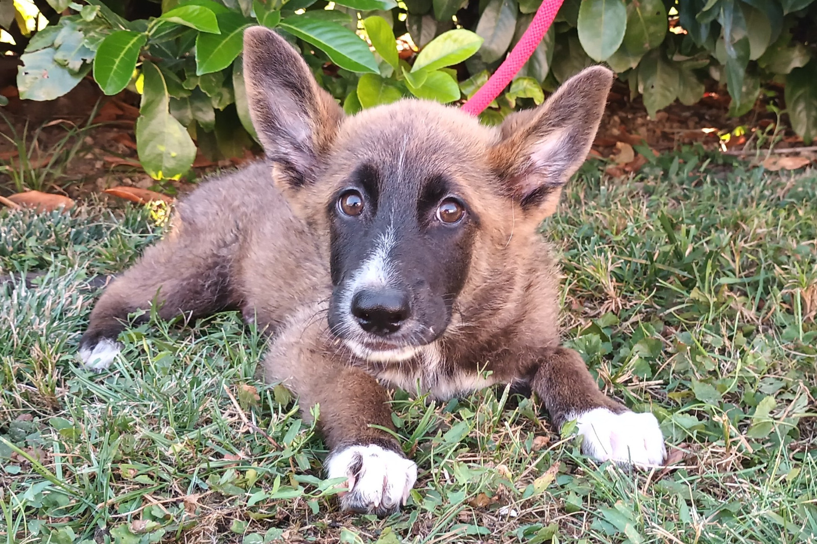 451943009_122157577616106873_8591831781416144796_n