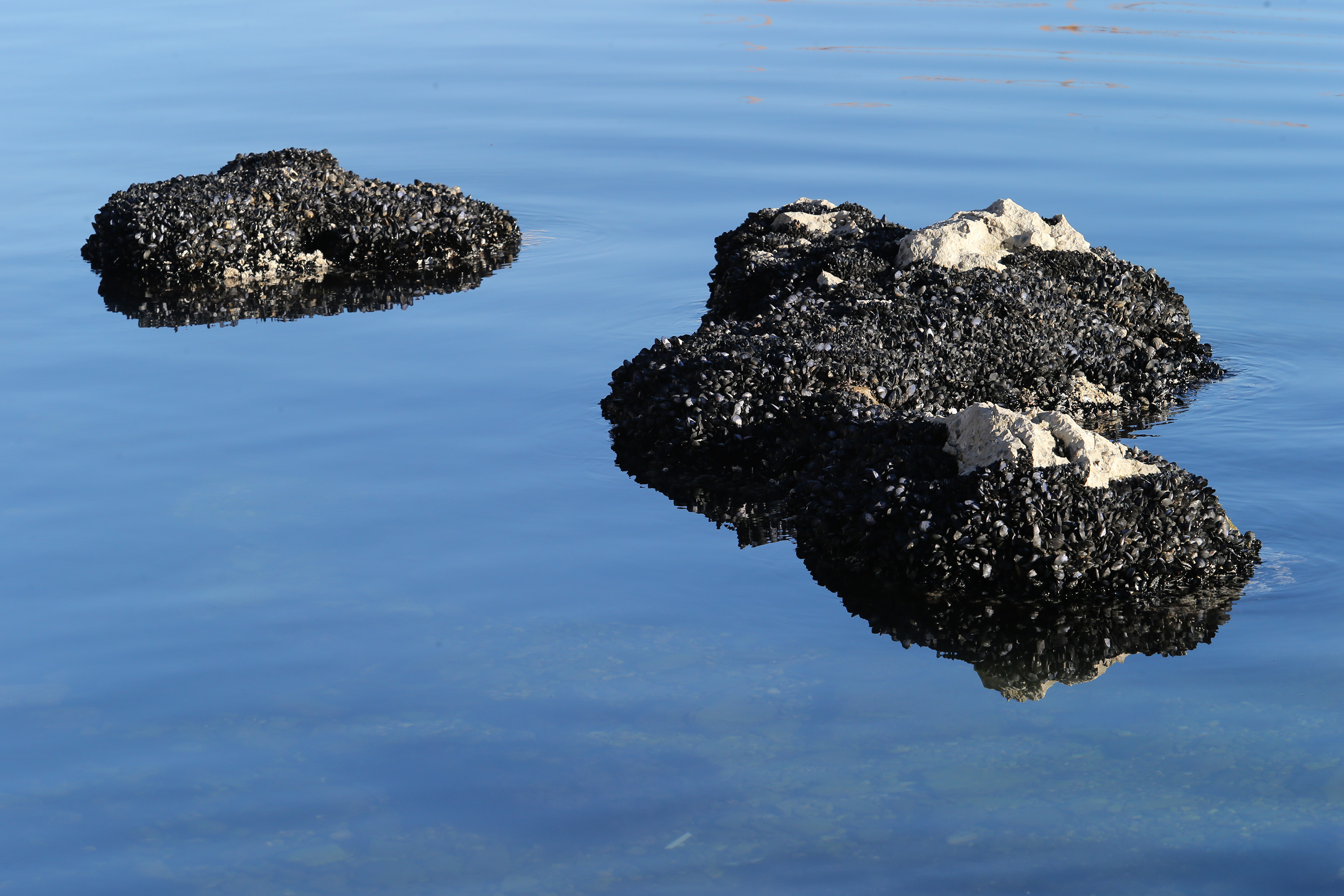 Kaštel Stari: Pogled na gradske ljepote u prosincu