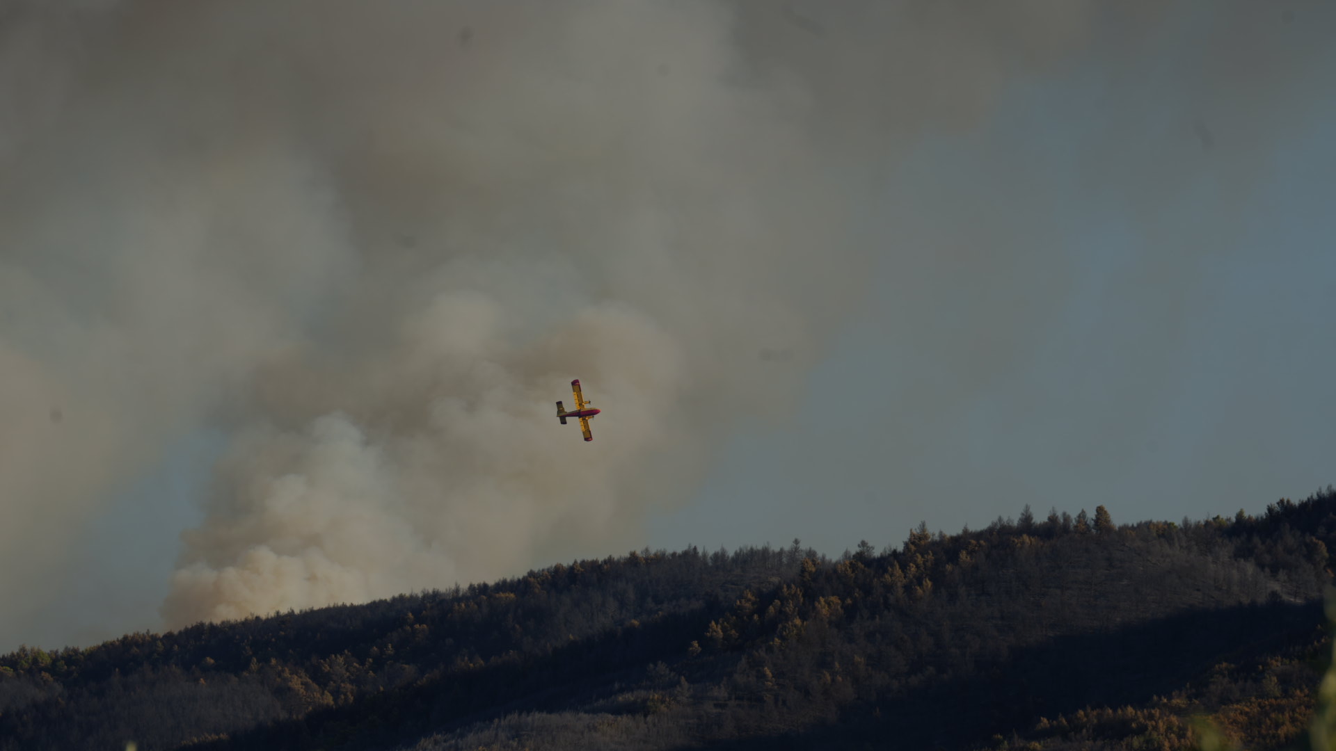 N1 / Fran Rubil, Ilustracija