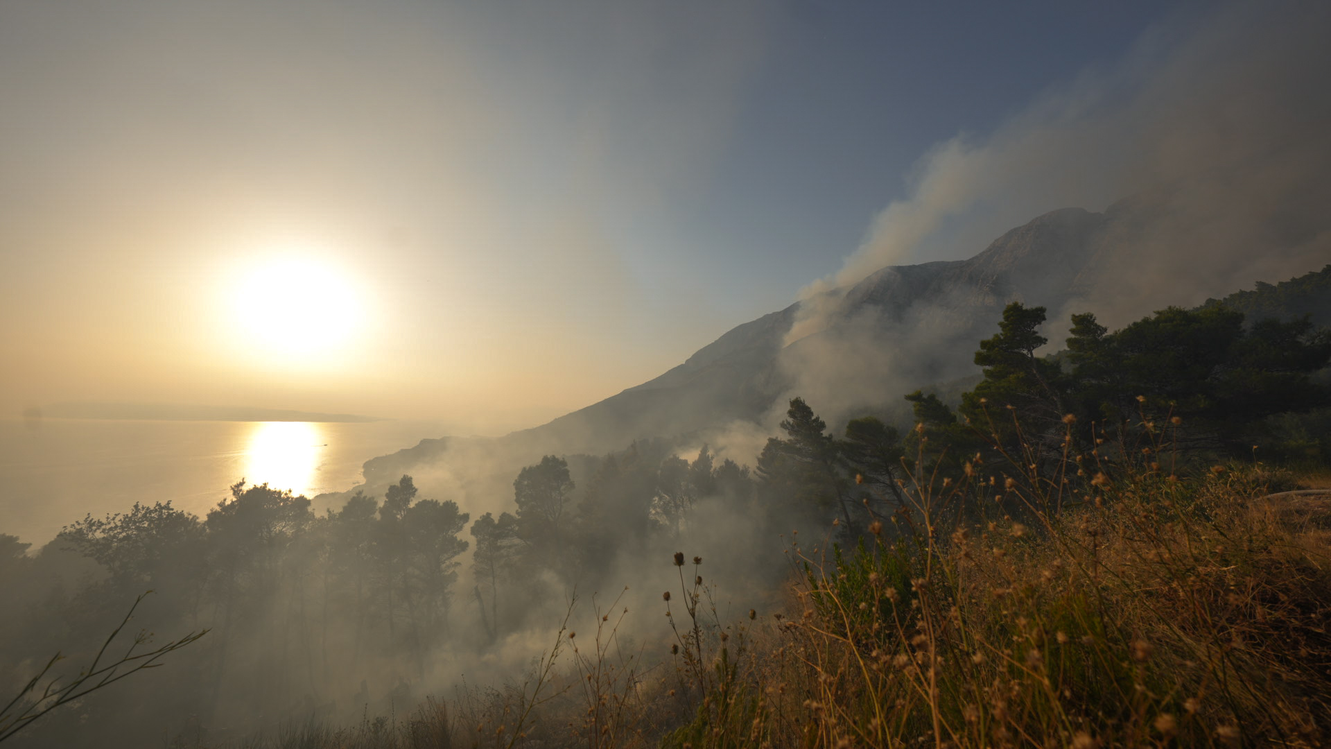 požar, dim, sunce, jutro,