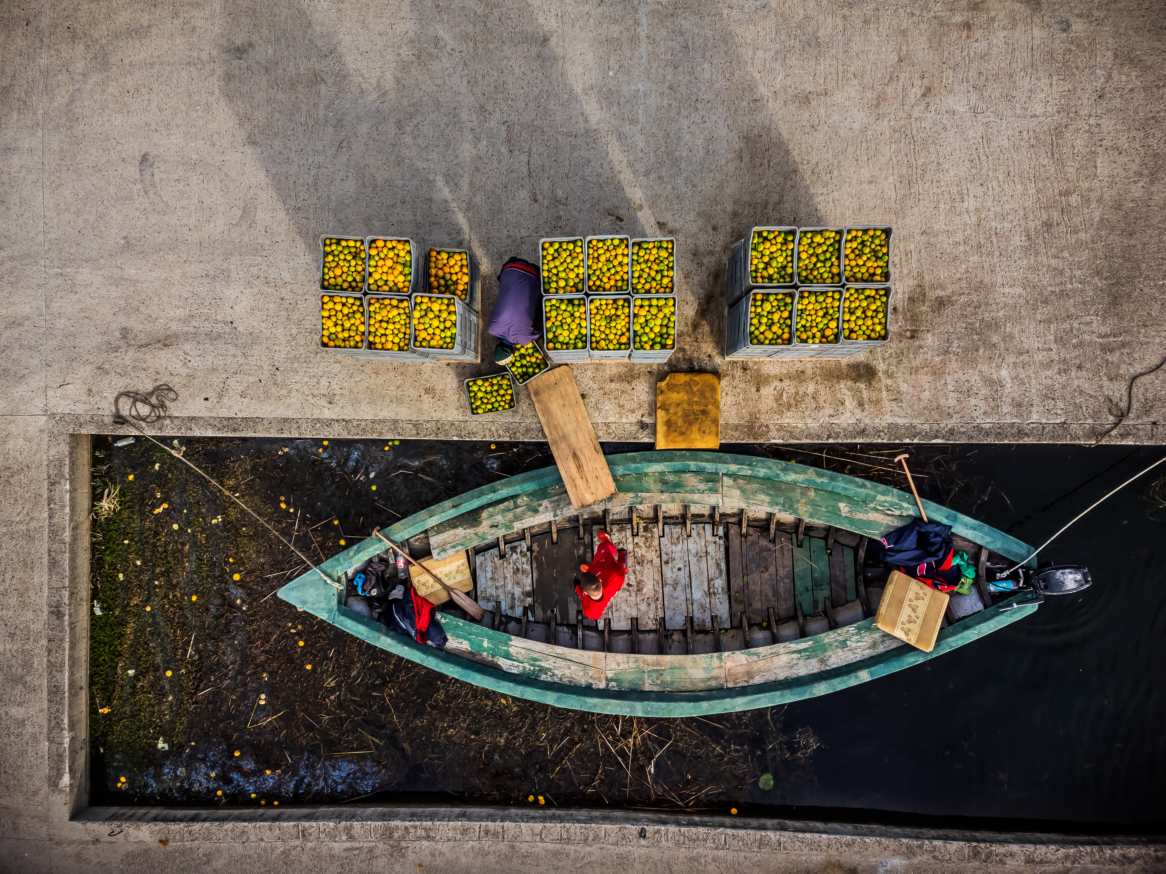 Berba mandarina u dolini Neretve: Urod je rekordan, ali proizvođače muči niska cijena