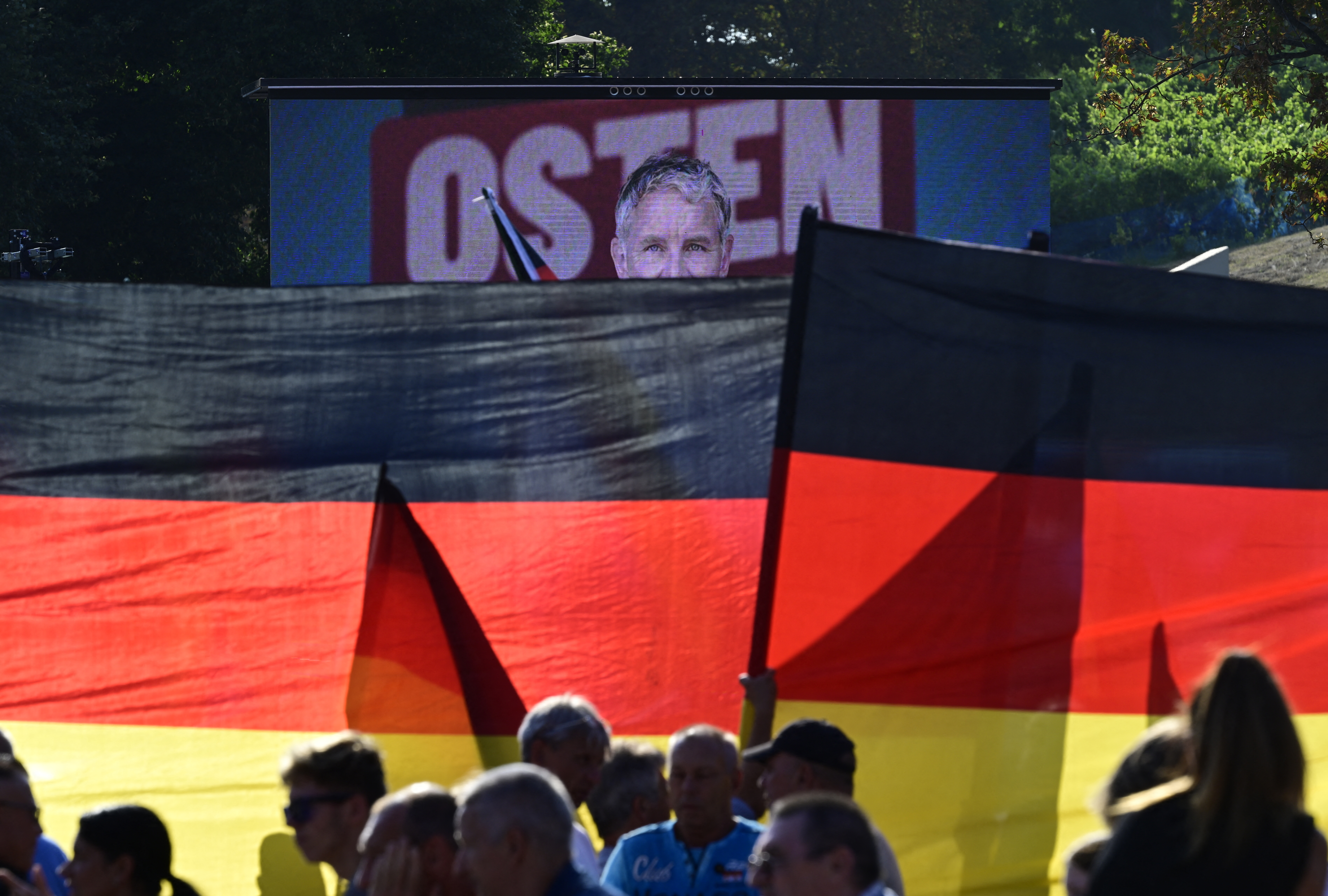 GERMANY-POLITICS-VOTE-PARTIES-AFD