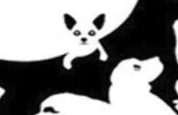 Snimka zaslona 2024-09-02 134830