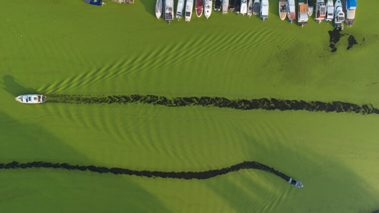 REUTERS/Djordje Kojadinovic