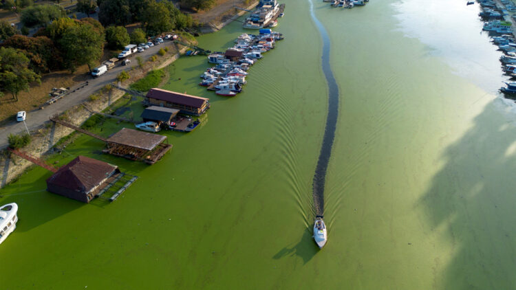 REUTERS/Djordje Kojadinovic