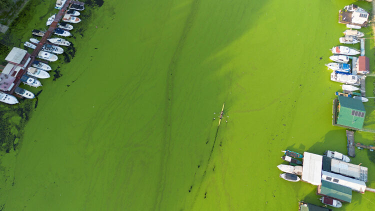 REUTERS/Djordje Kojadinovic