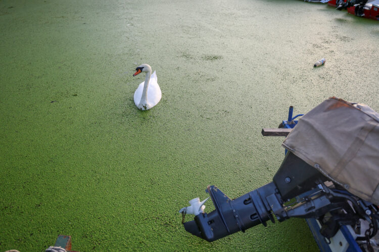 REUTERS/Djordje Kojadinovic