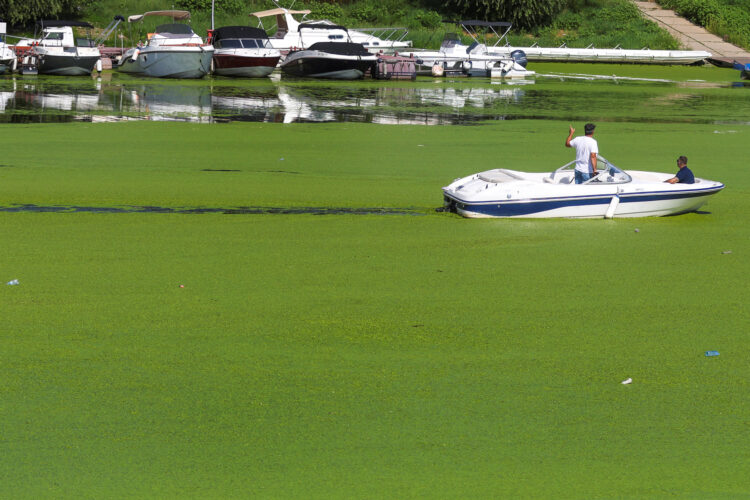 REUTERS/Djordje Kojadinovic