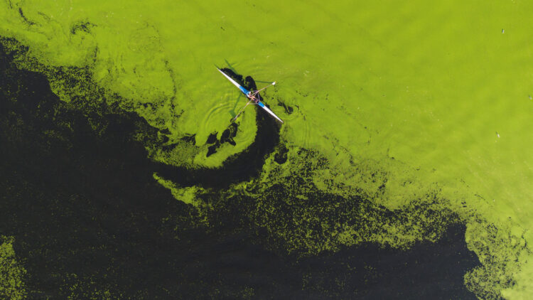 REUTERS/Djordje Kojadinovic