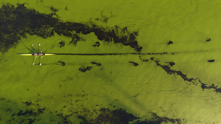 REUTERS/Djordje Kojadinovic