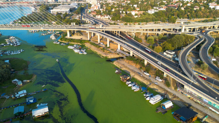 River Sava's inlet is covered with algae, in Belgrade