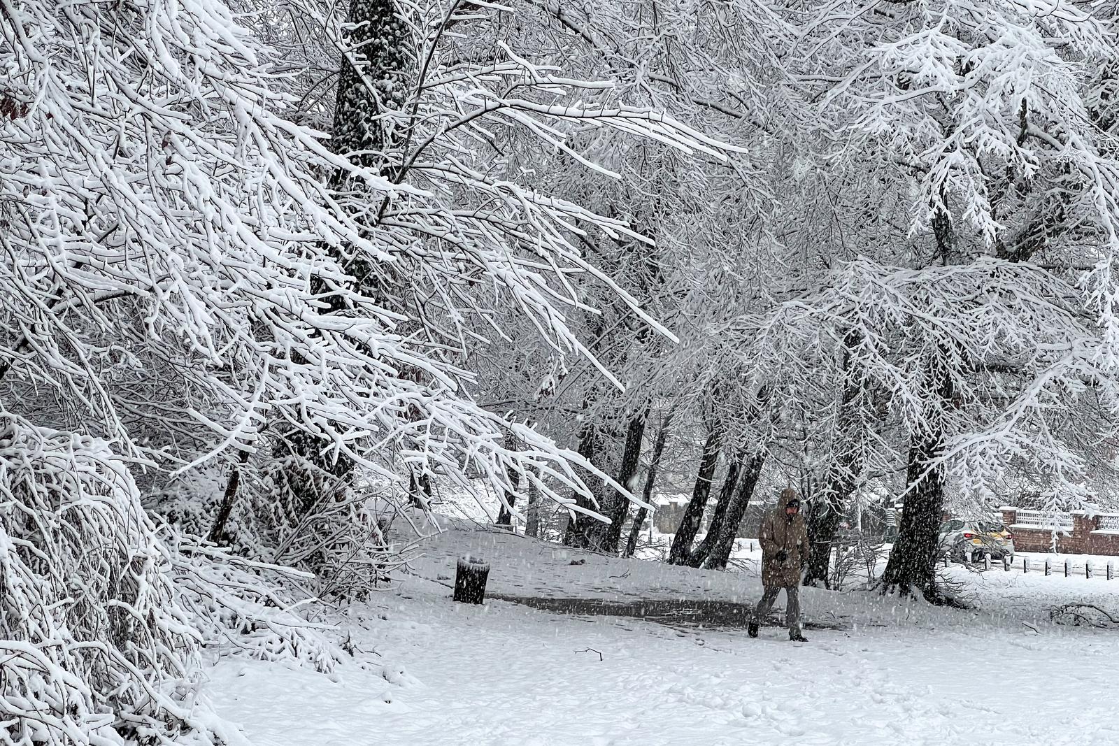 Zagreb:  Zimska idila na Zelengaju