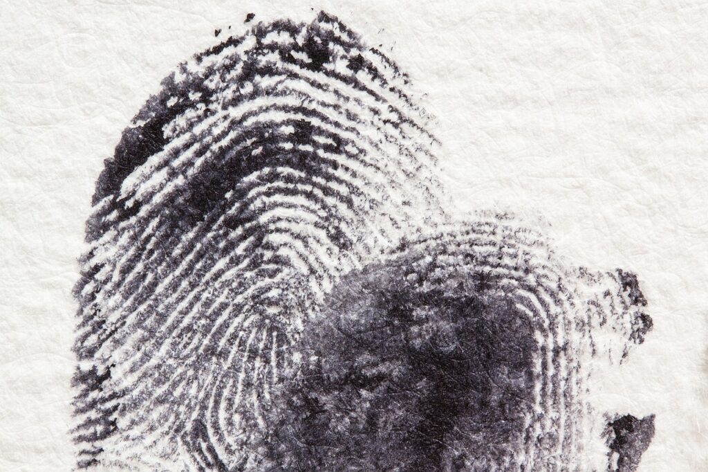 1726657102-fingerprint-255904_1280-1024x682.jpg