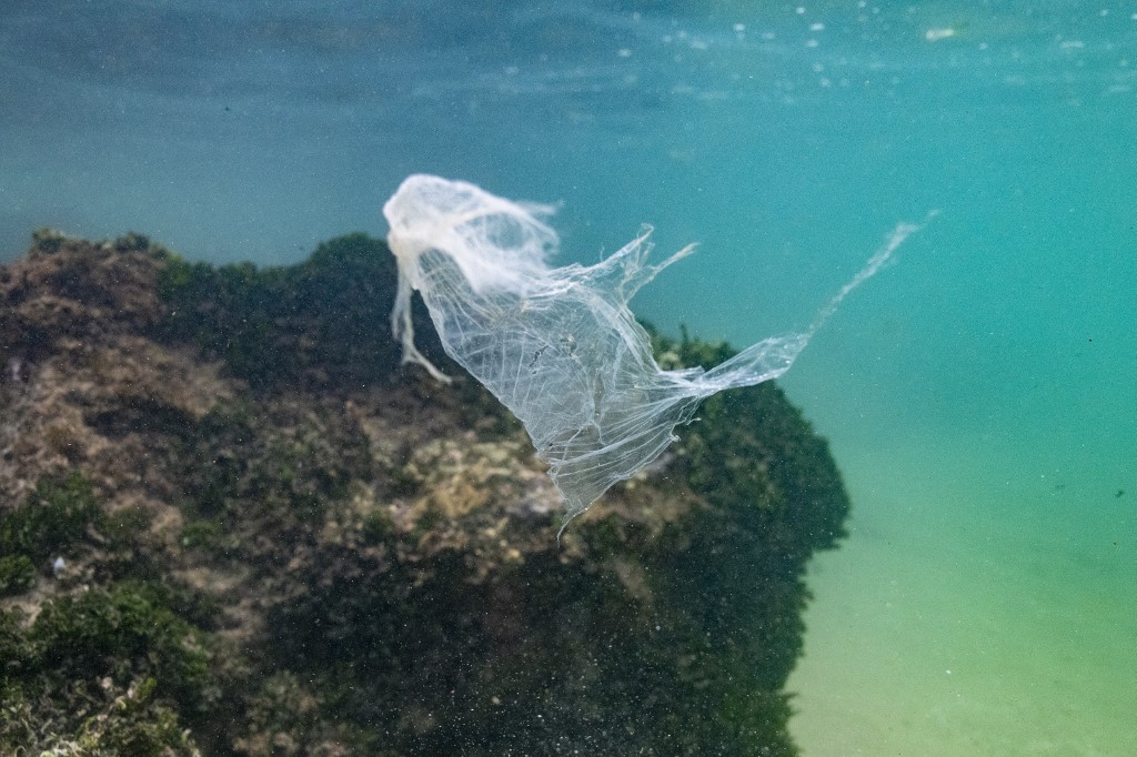 Second round of negotiations for an international treaty against plastic pollution