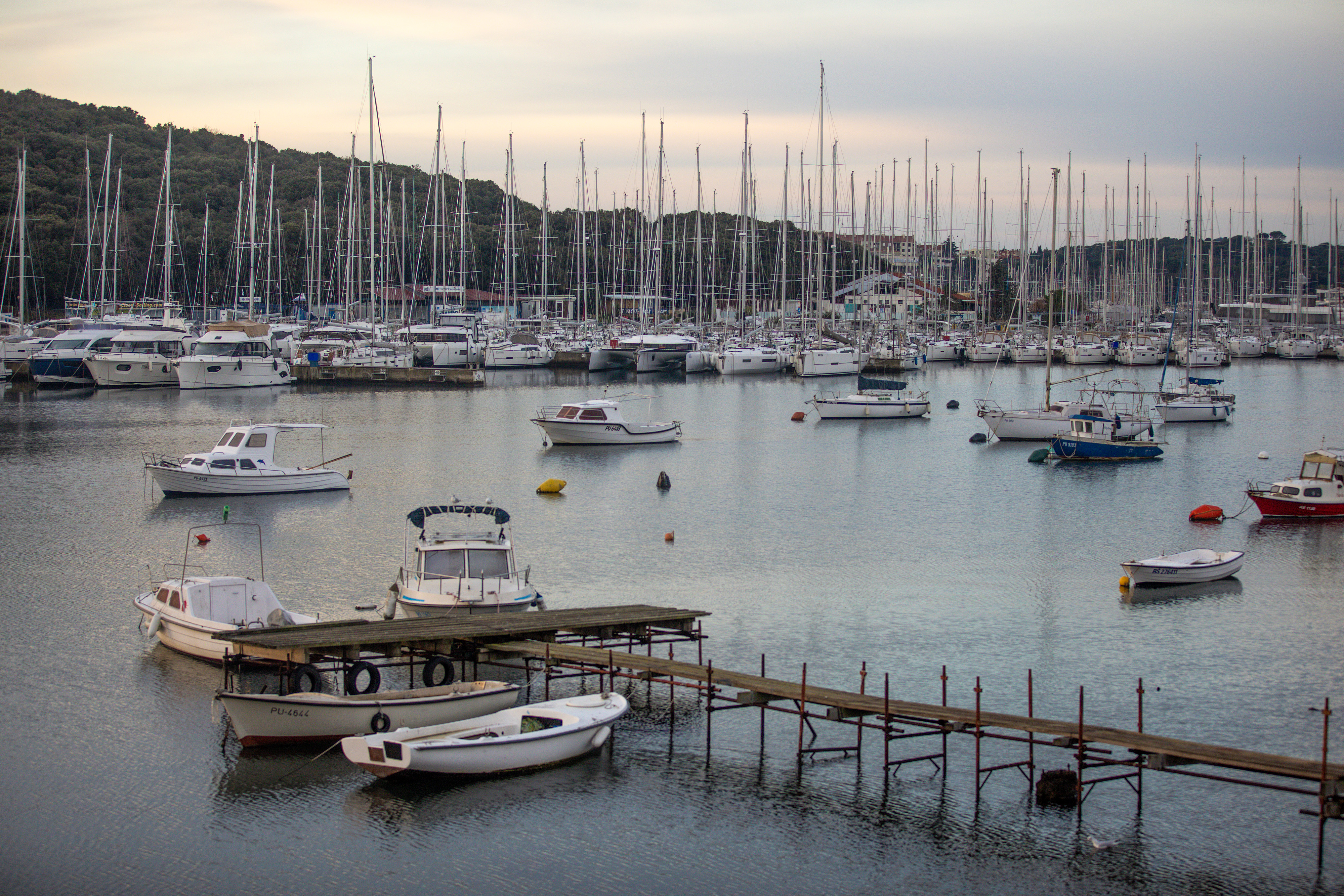 Pula: Privezani brodovi u marini Veruda