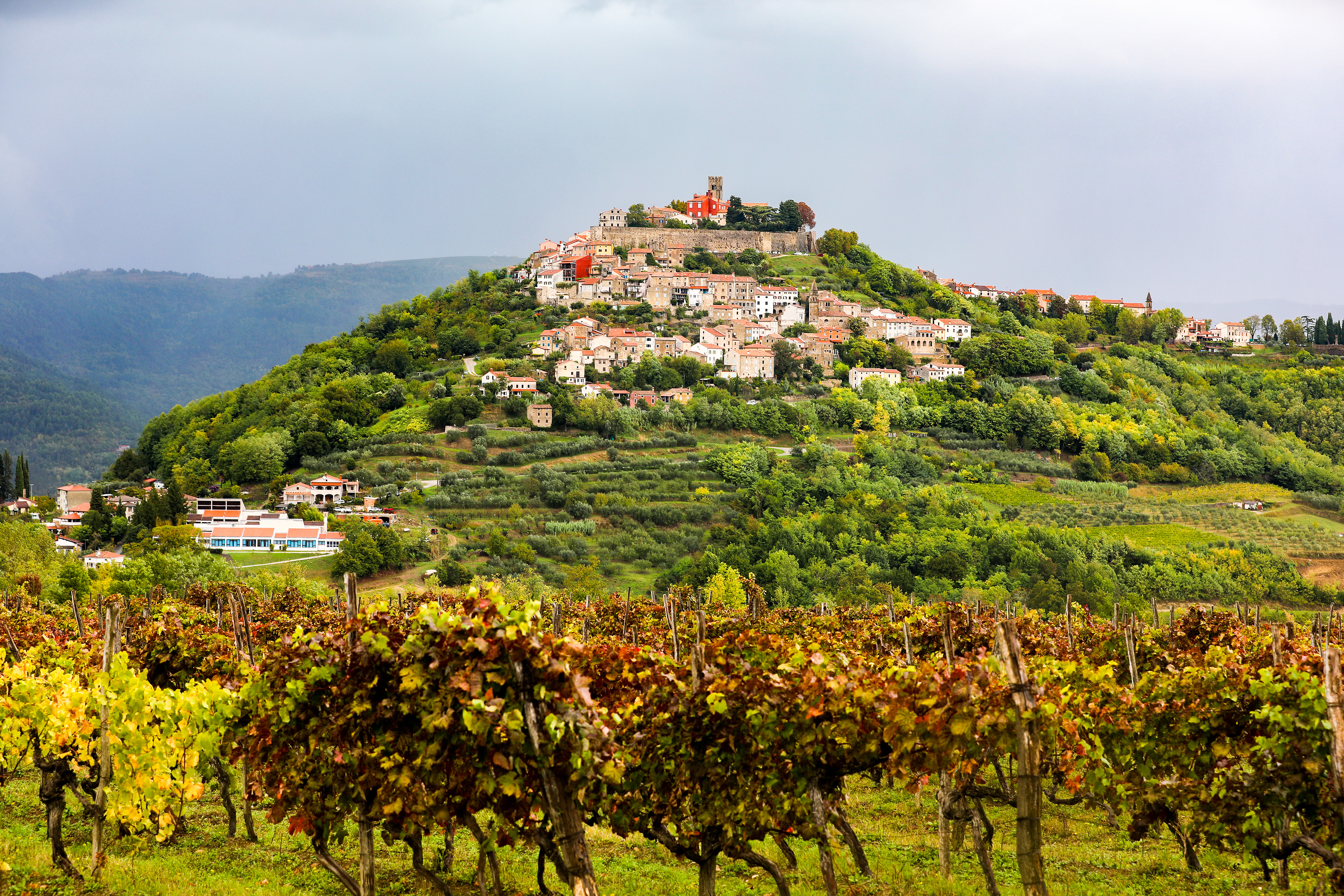 Duga u podnožju Motovuna
