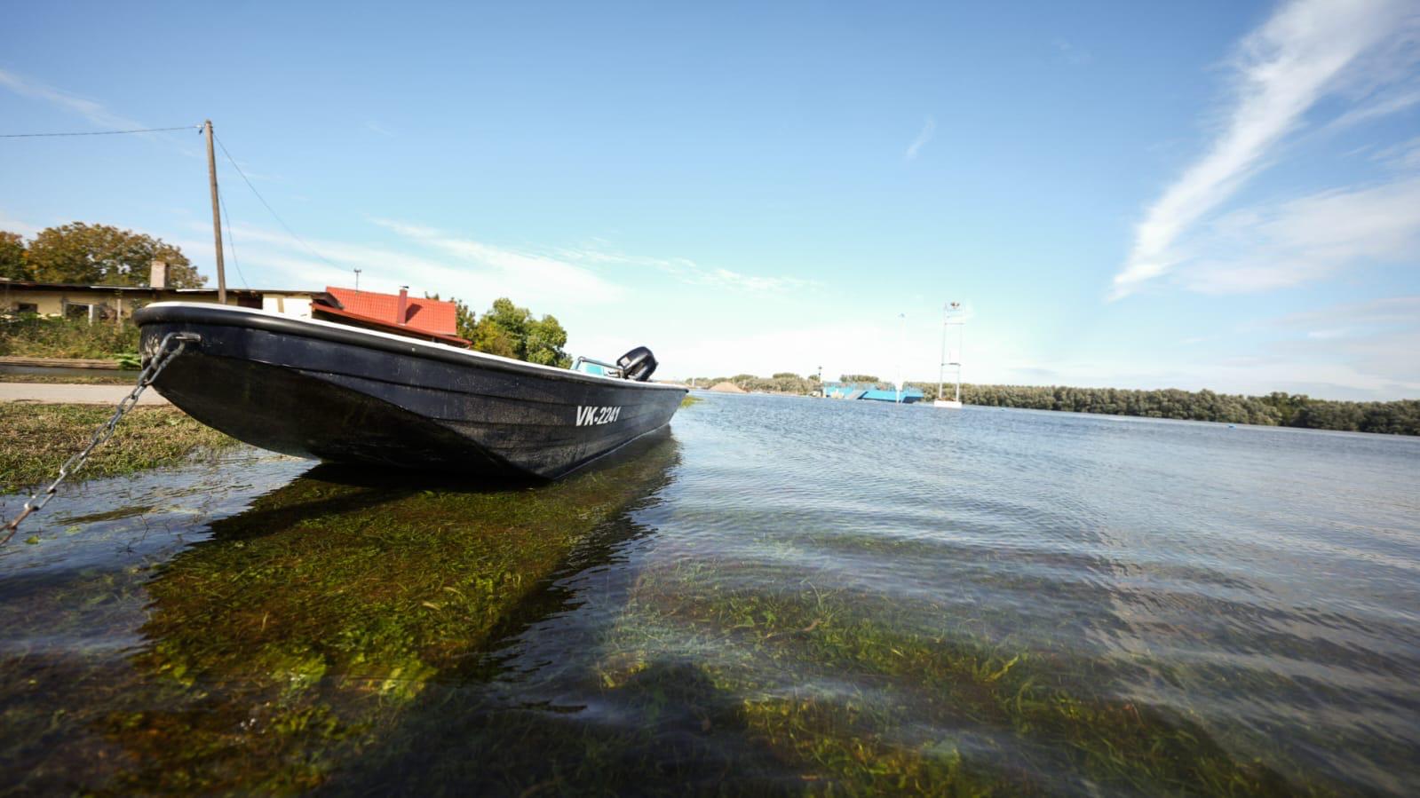 dunav, poplava, vodeni val, vodni val,