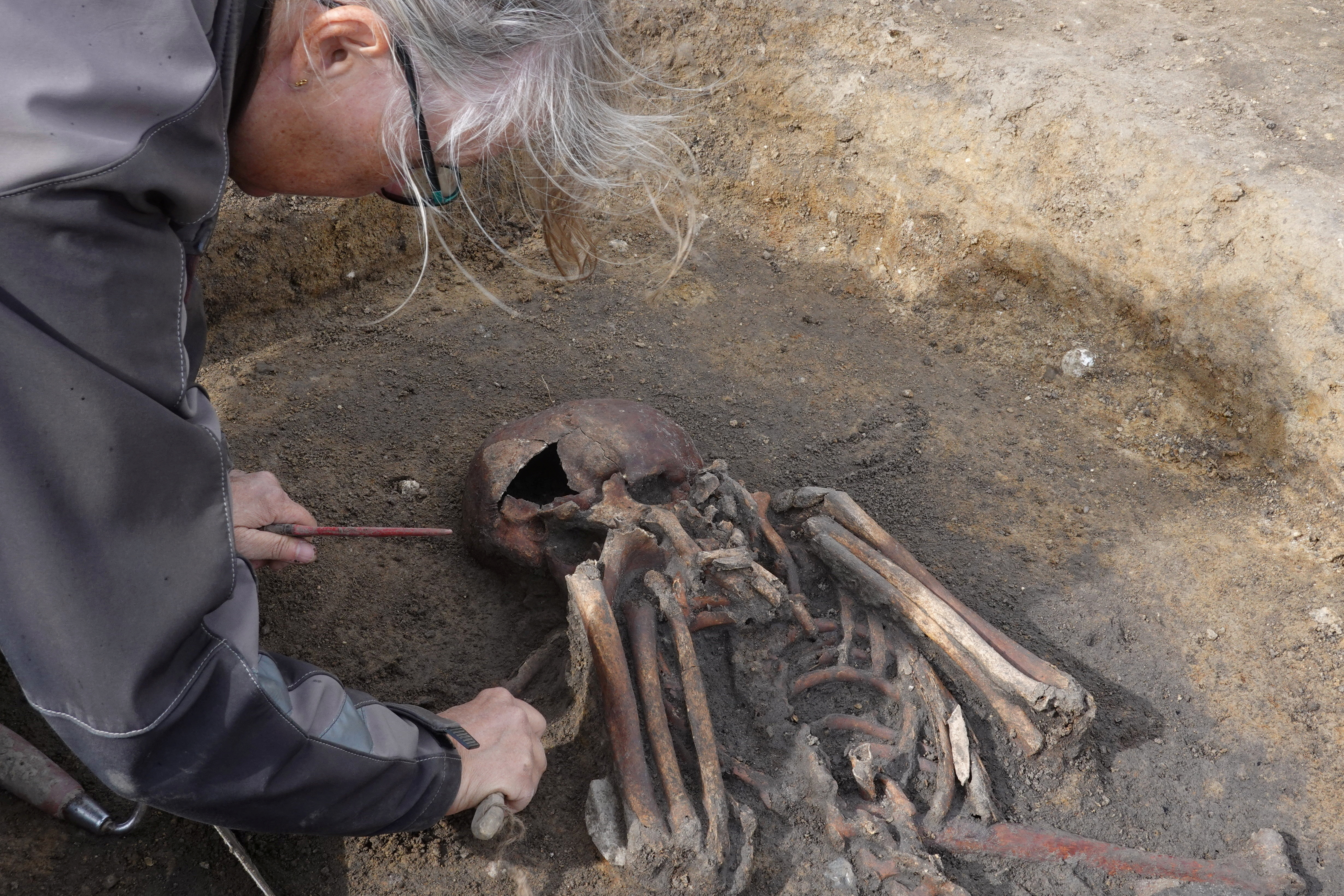 Danish archaeologists unearth 50 Viking skeletons