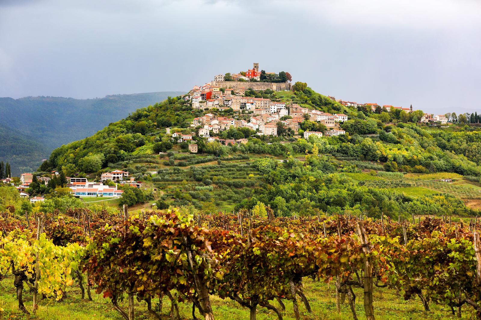 Duga u podnožju Motovuna