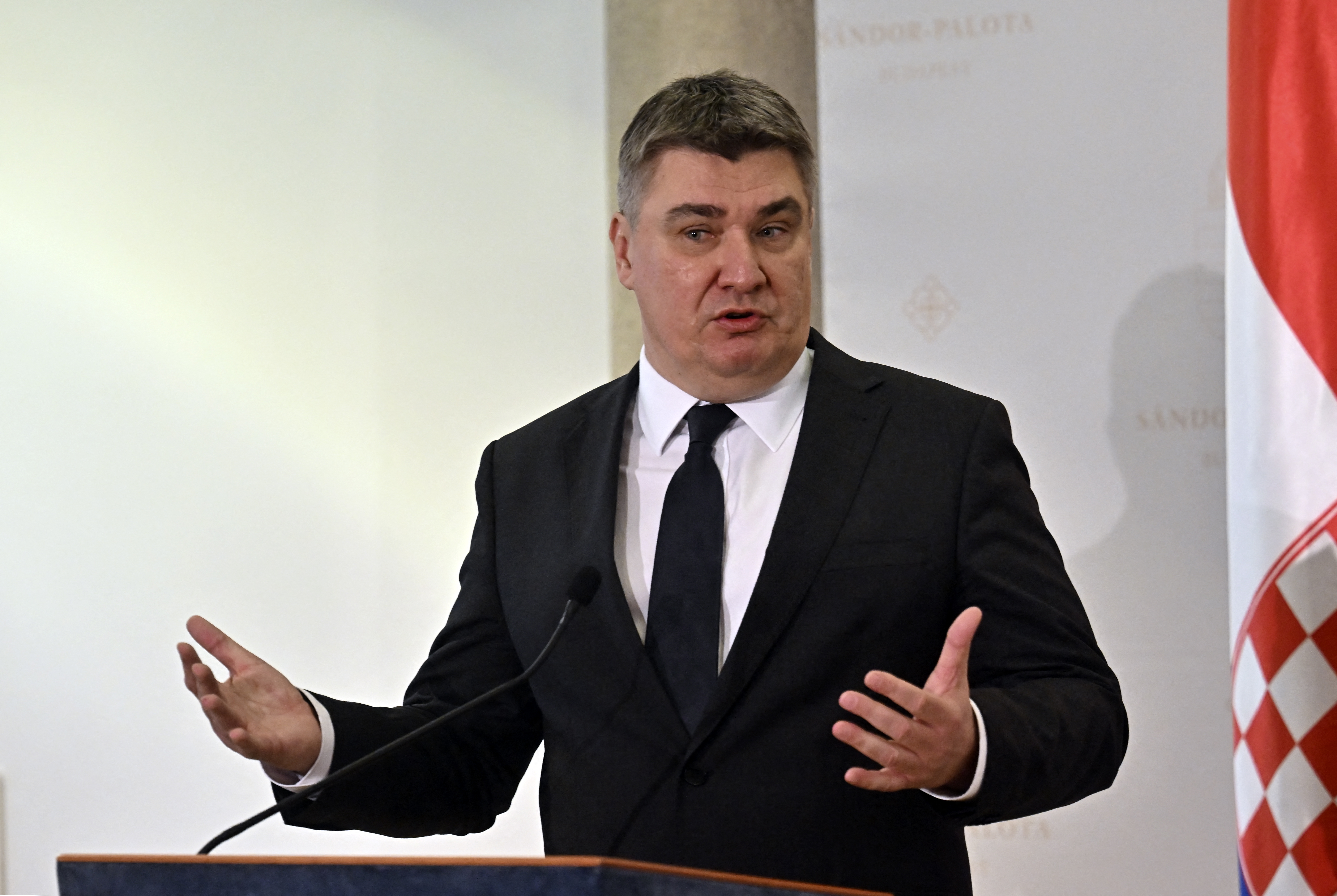 Zoran Milanović
