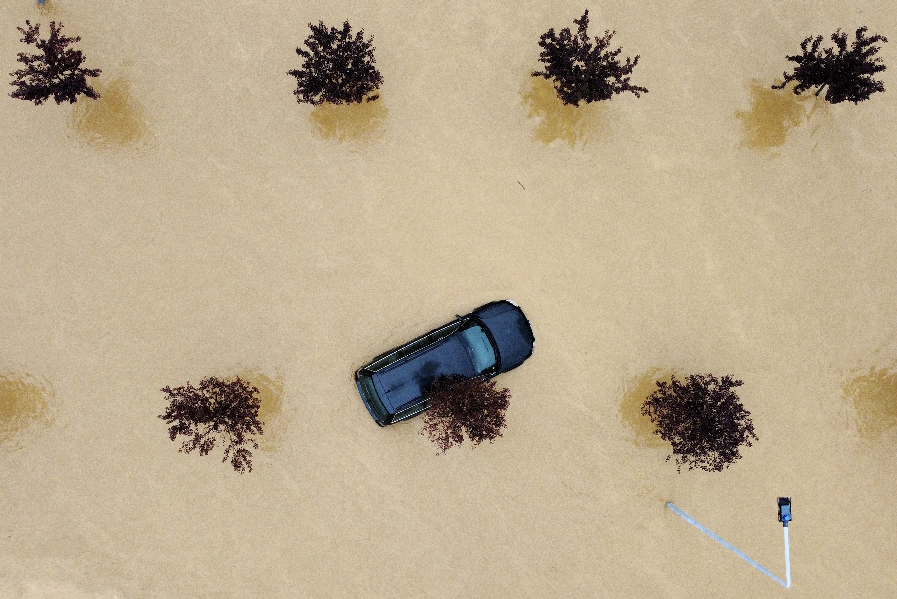 N1 / F. Z. / Ilustracija