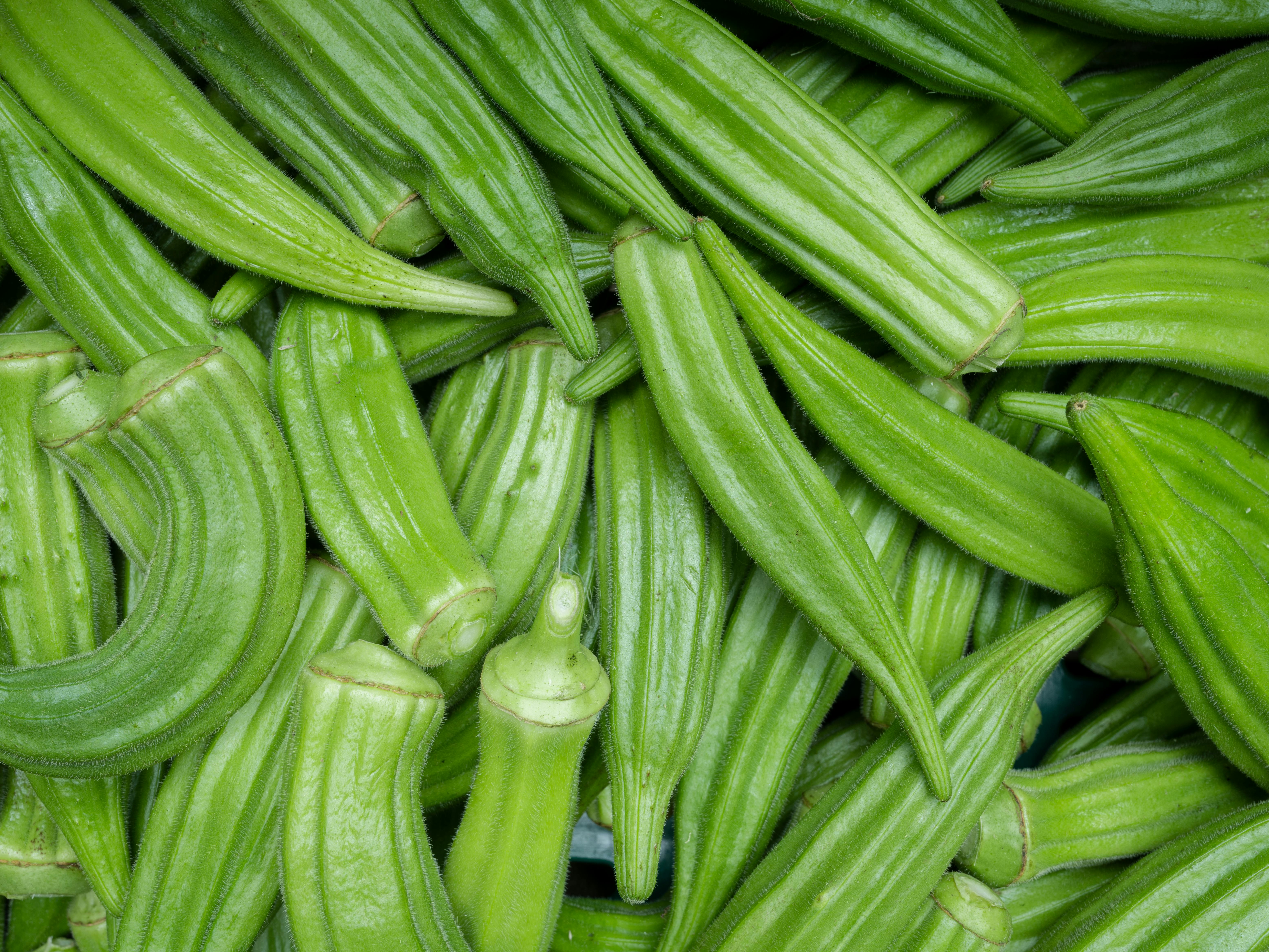 jestiva bamija, okra