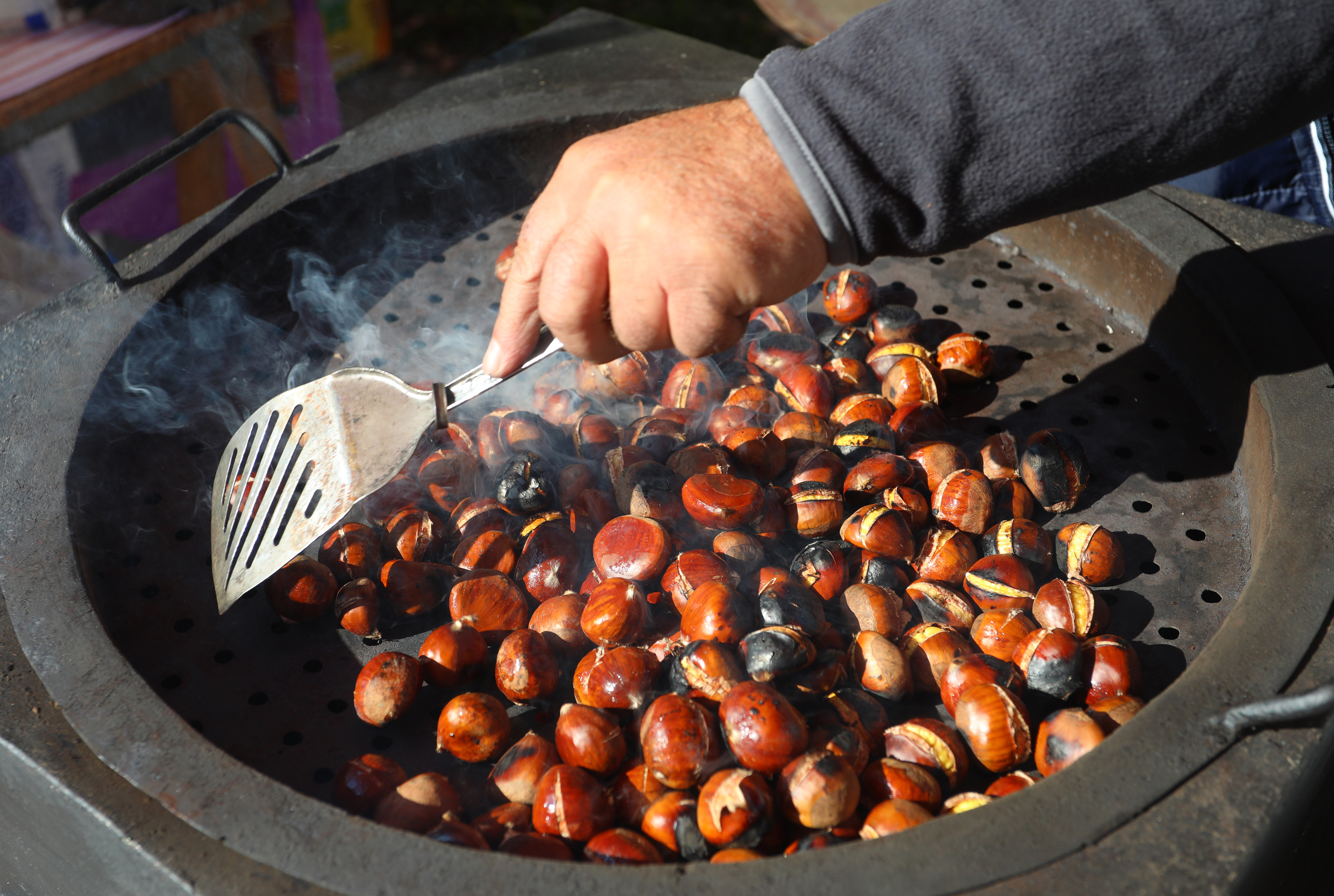 Prva kestenijada održana je na Starom gradu Dubovac