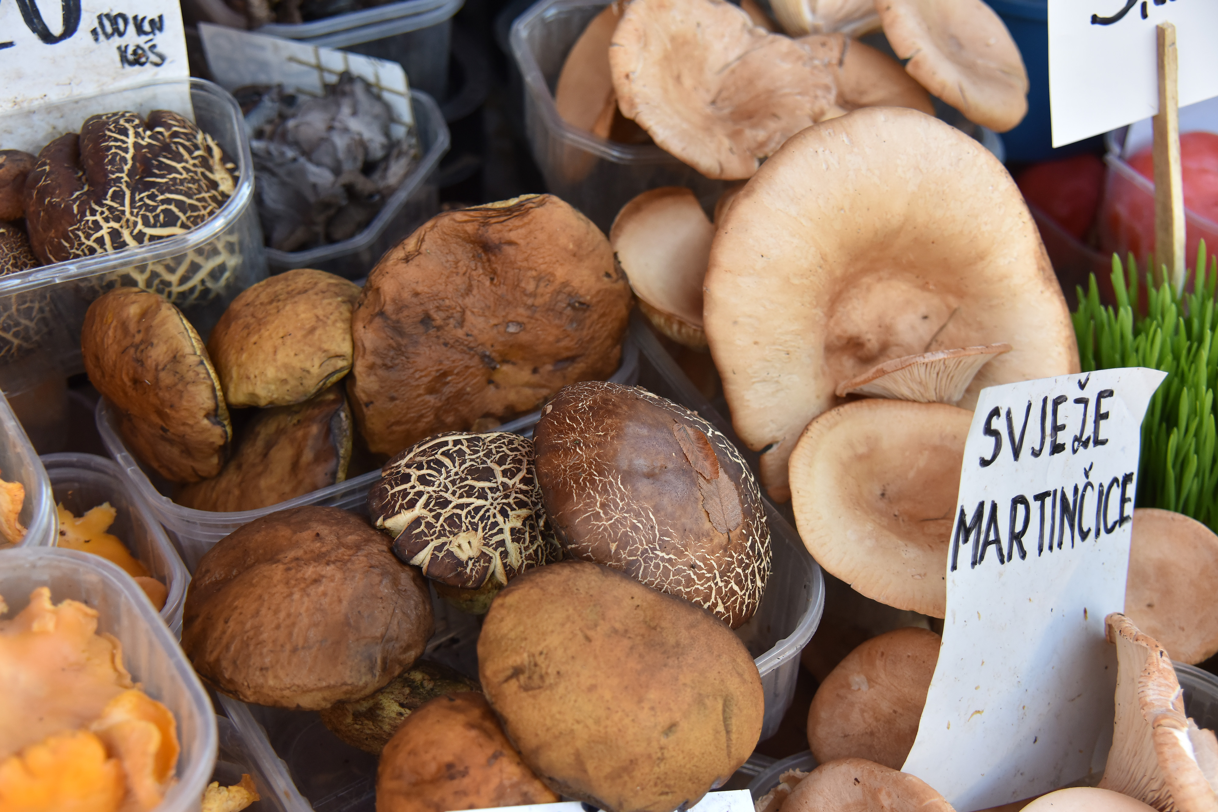 Pula: Zelena tržnica obiluje ponudom raznih vrsta šumskih gljiva