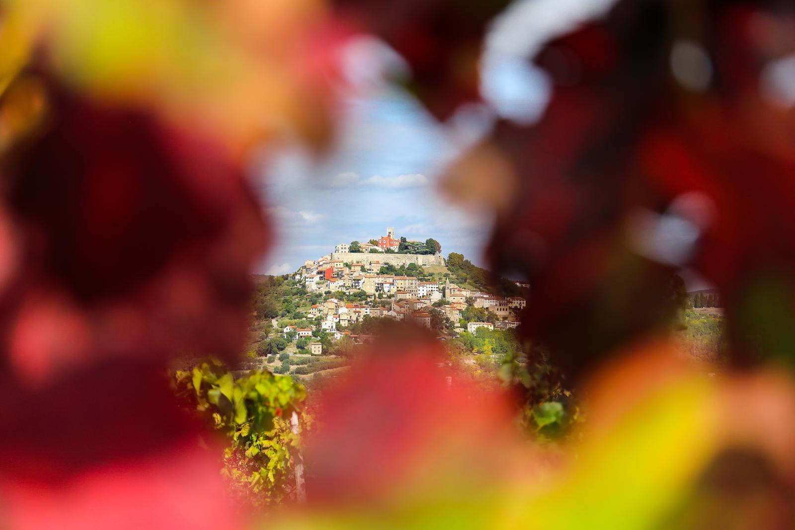 Motovun