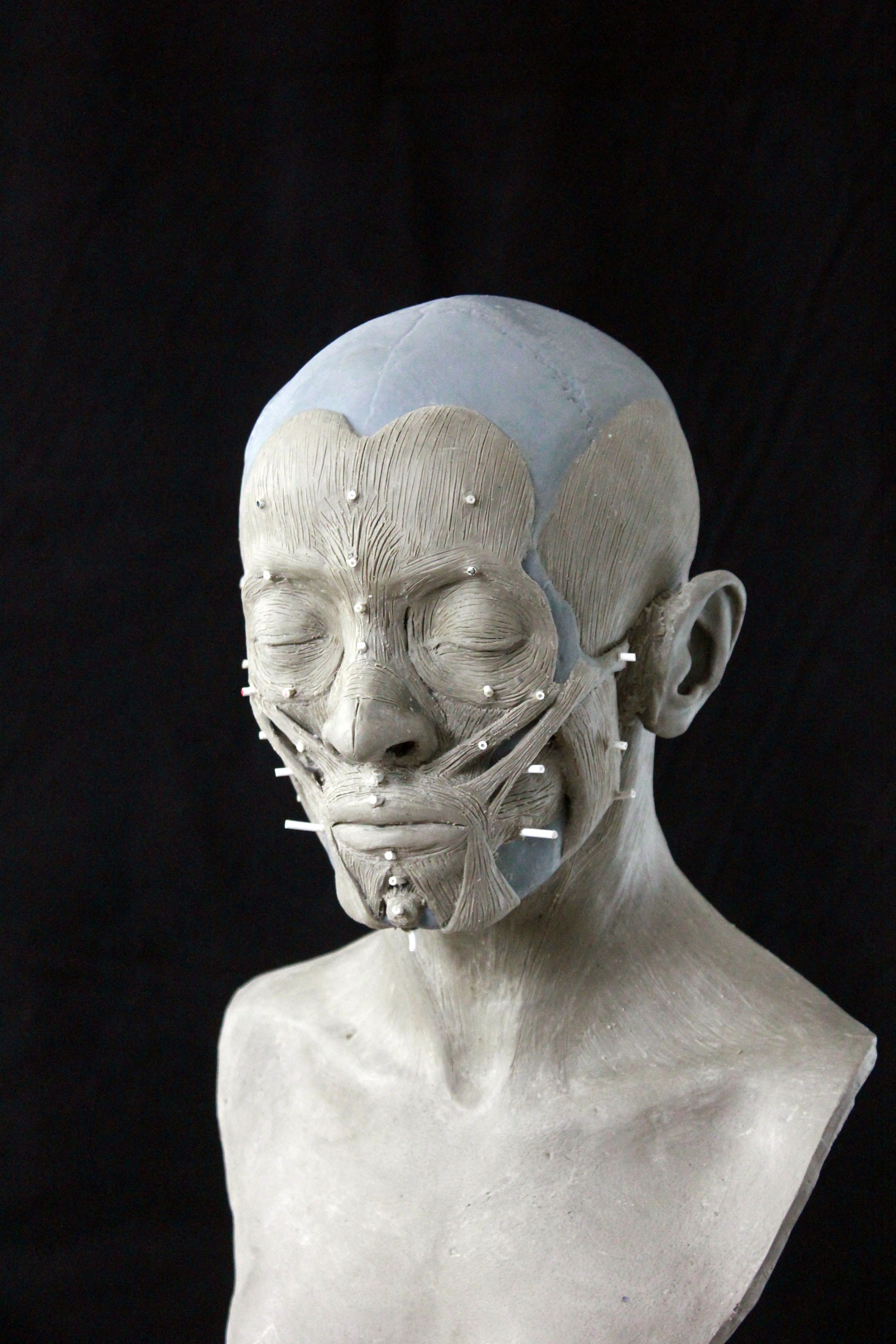 Scientists reconstruct a 400-year-old 'vampire's' face to life