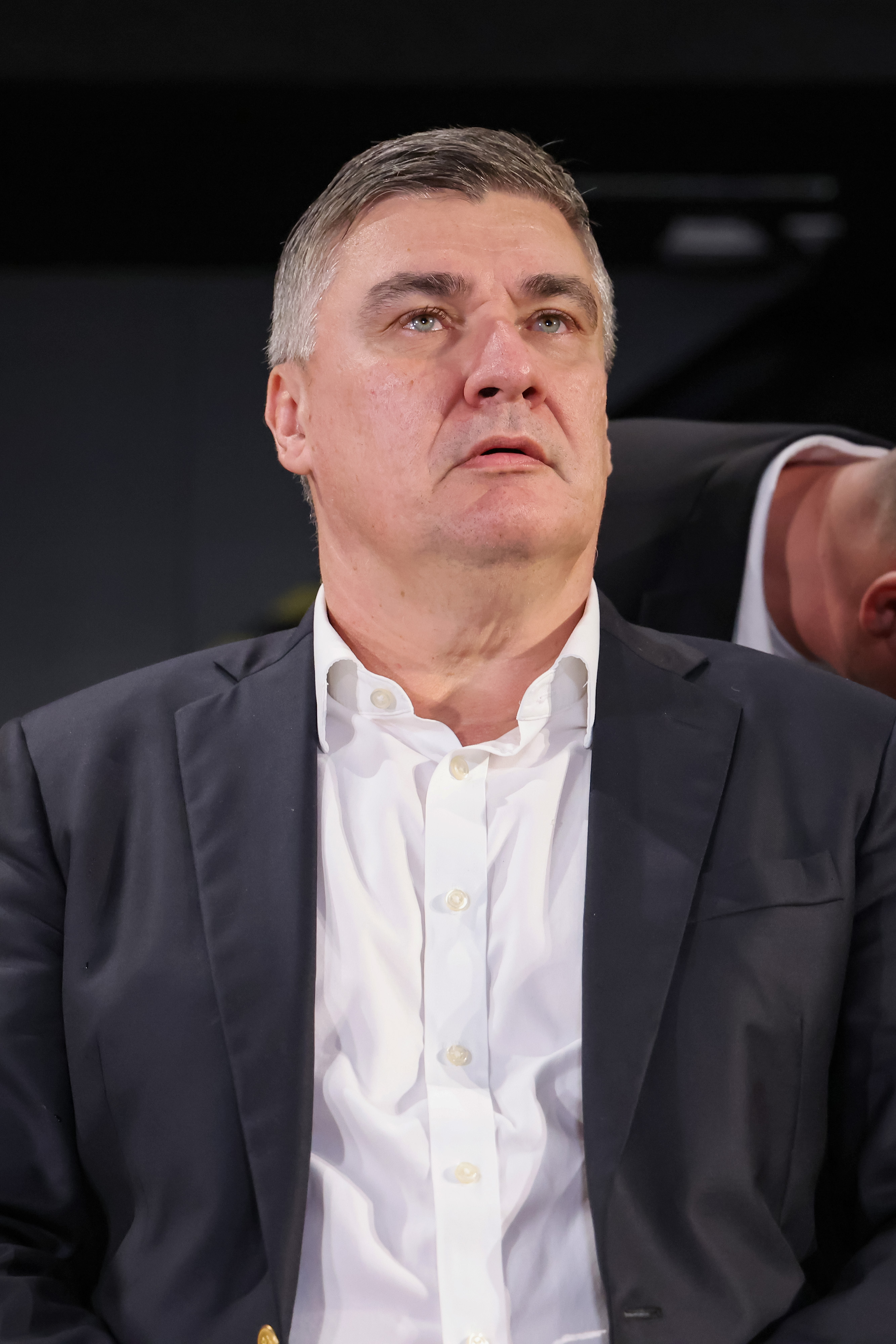 Zoran Milanović