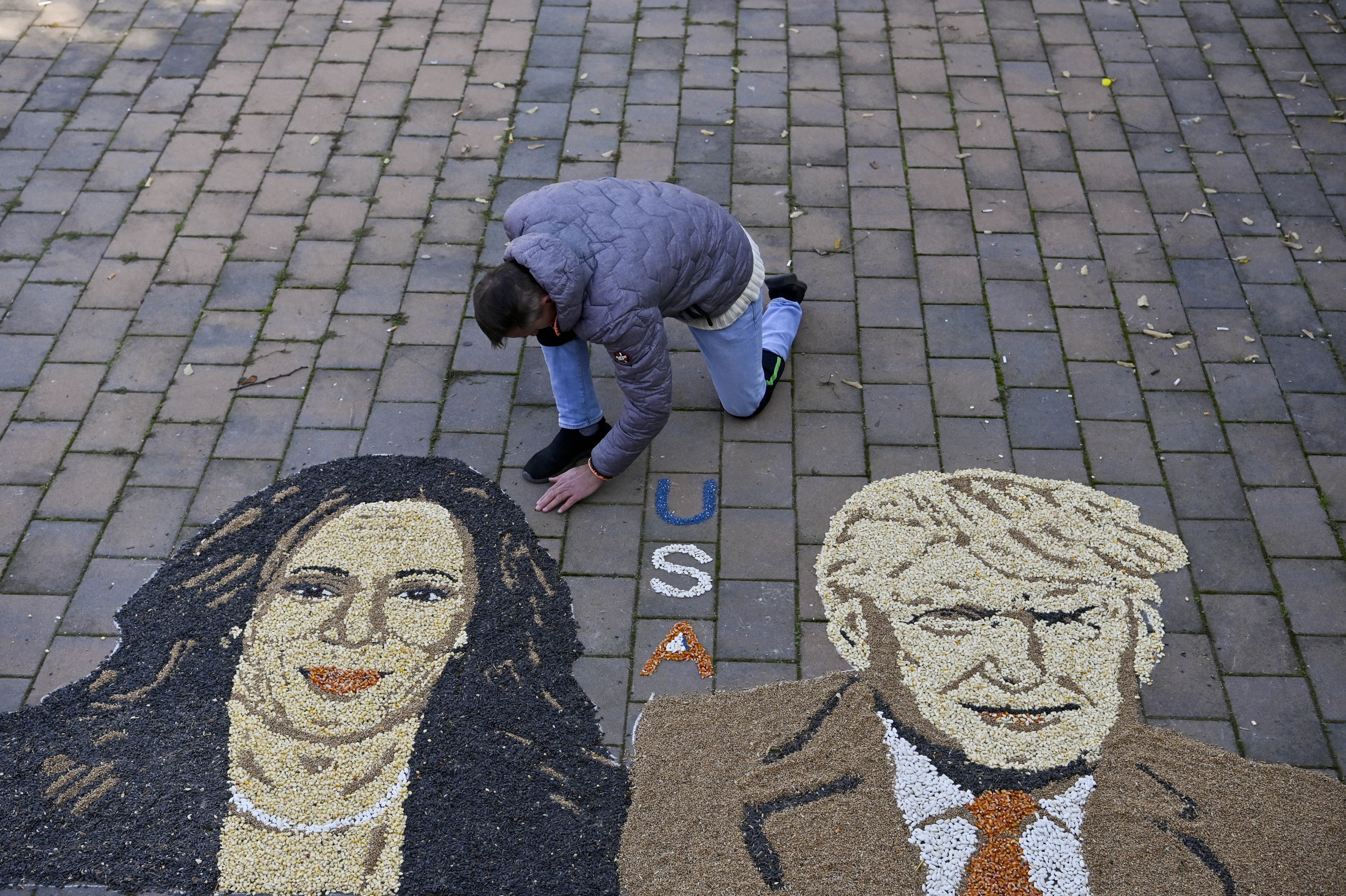 KOSOVO-US-VOTE-HARRIS-TRUMP-ART