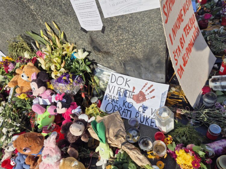 novi sad gradska kuća