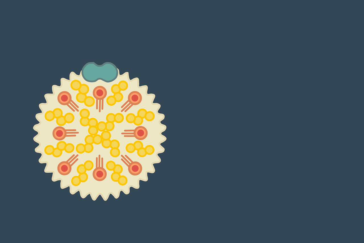 Kolesterol, kontrola, bolesti, prevencija