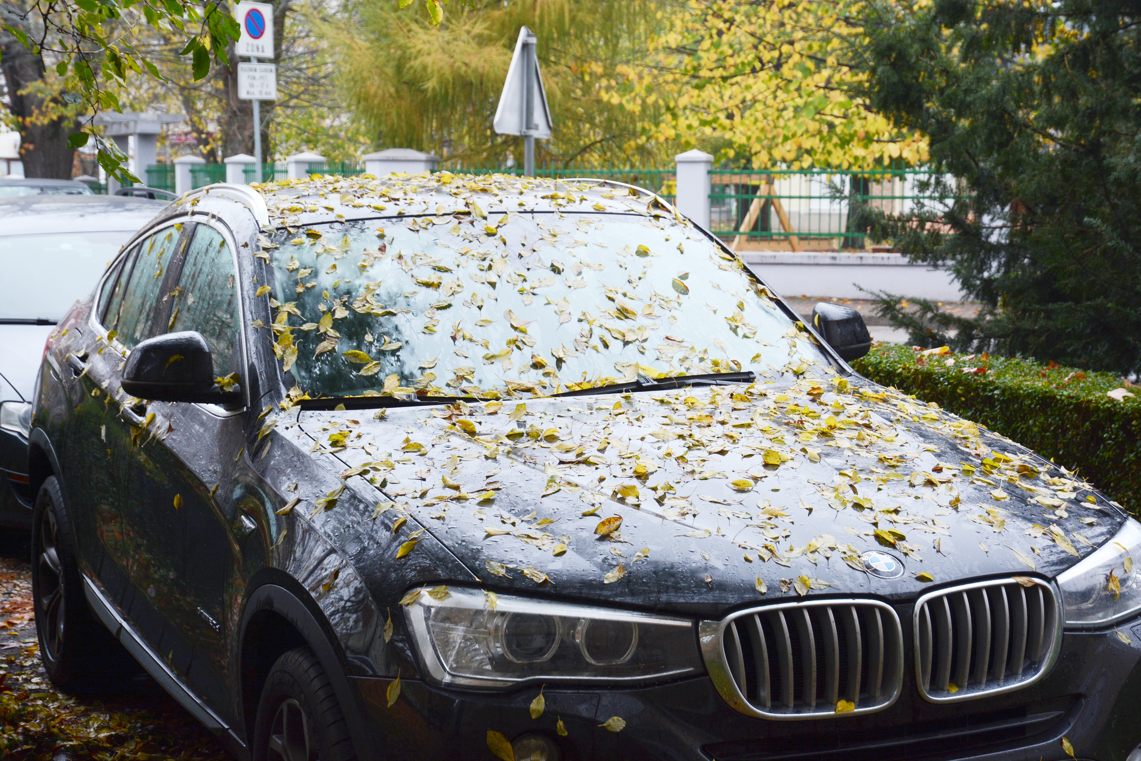 Automobil prekriven lišćem