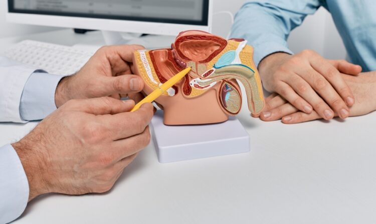 prostata, rak prostate, Doctor,Consulting,Man,Patient,With,Suspected,Prostate,Cancer,Using,Male
