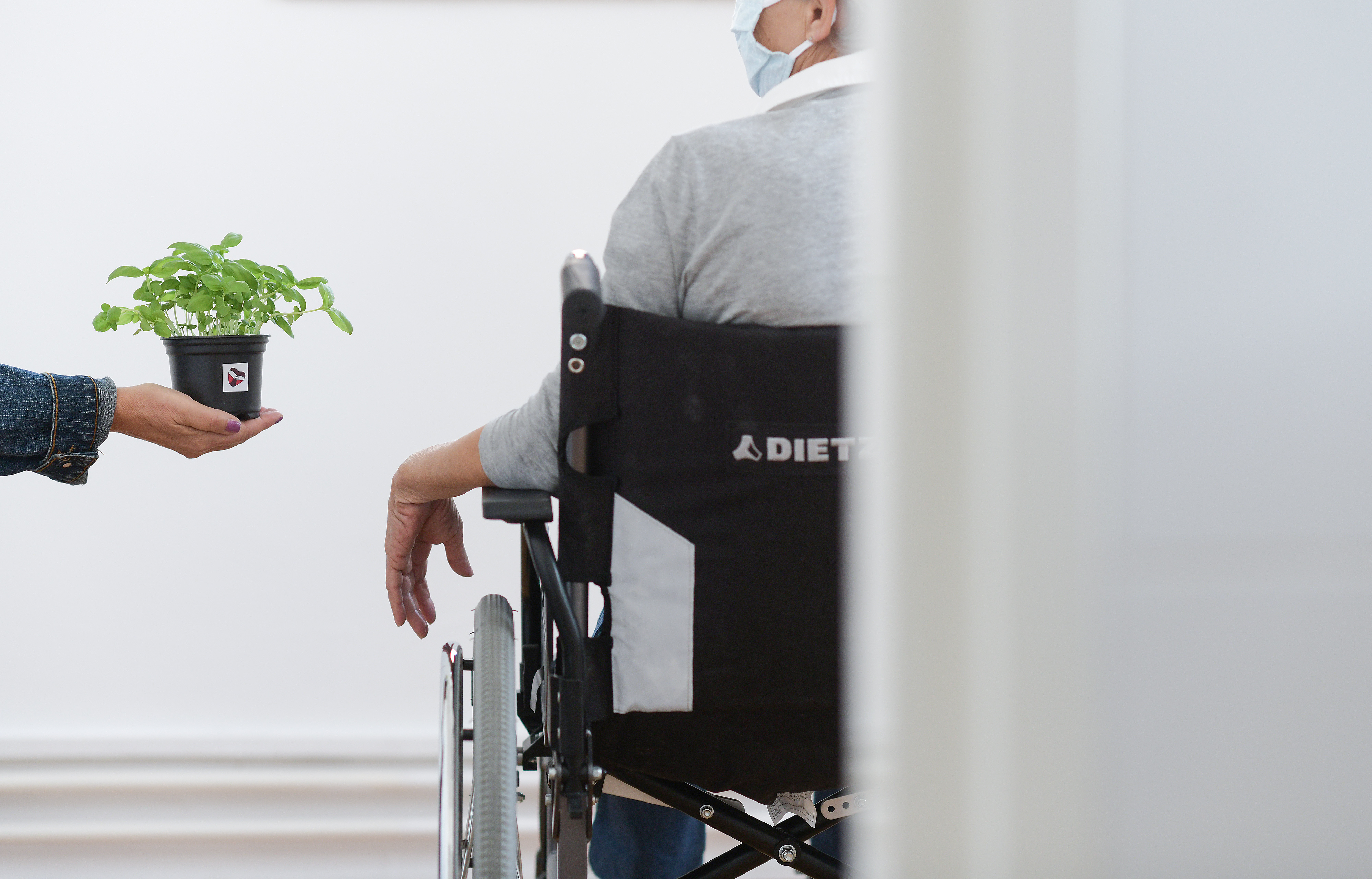 palijativni pacijent