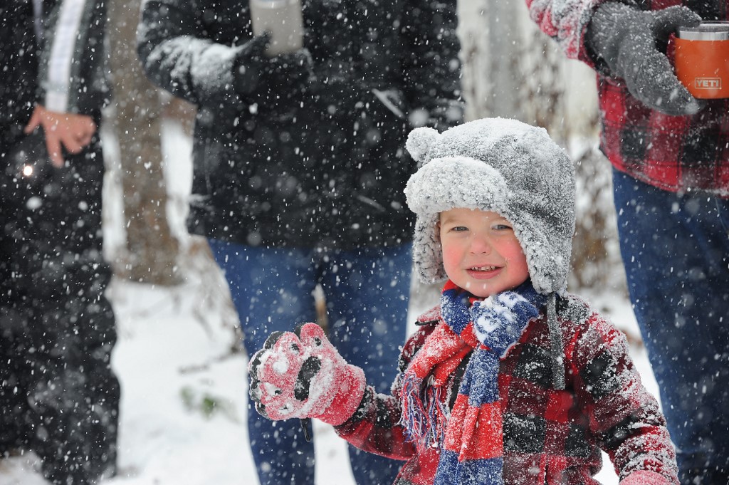 snježne mećava, snijeg, sad, zima, skijanje,