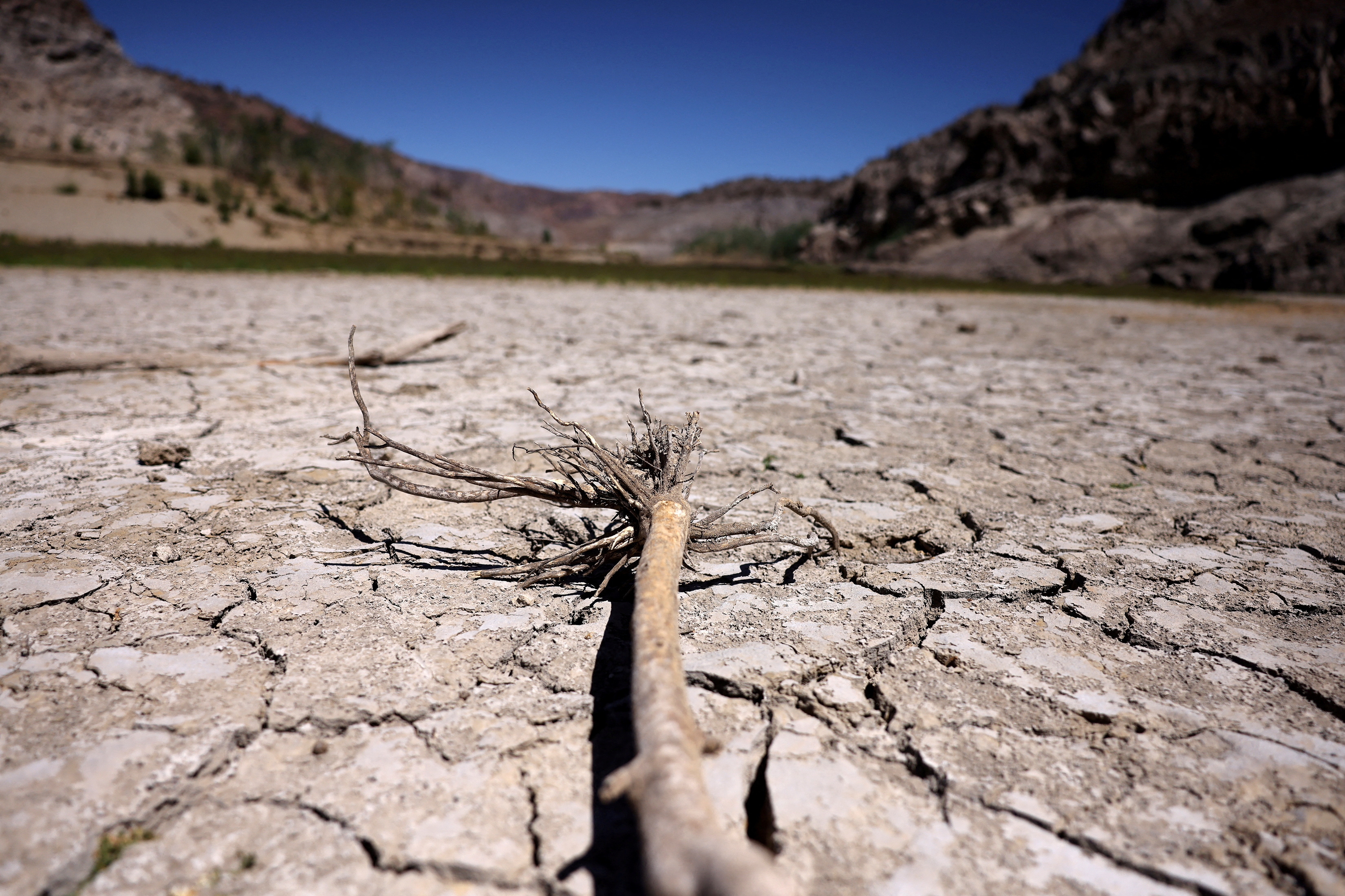 FILE PHOTO: World Water Day to combat desertification and drought, in Chile