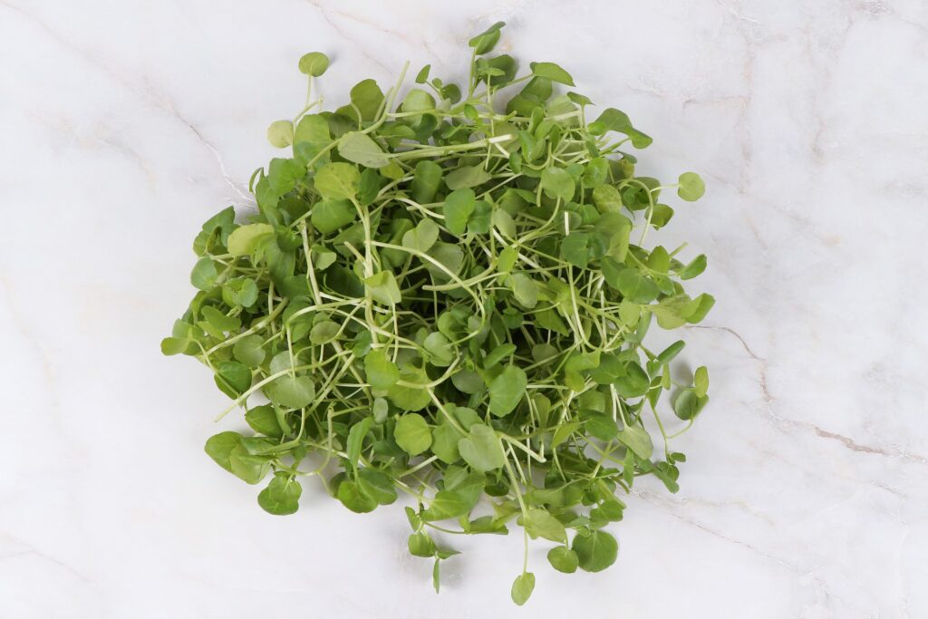1734936699-watercress-4153774_1920-1024x683.jpg