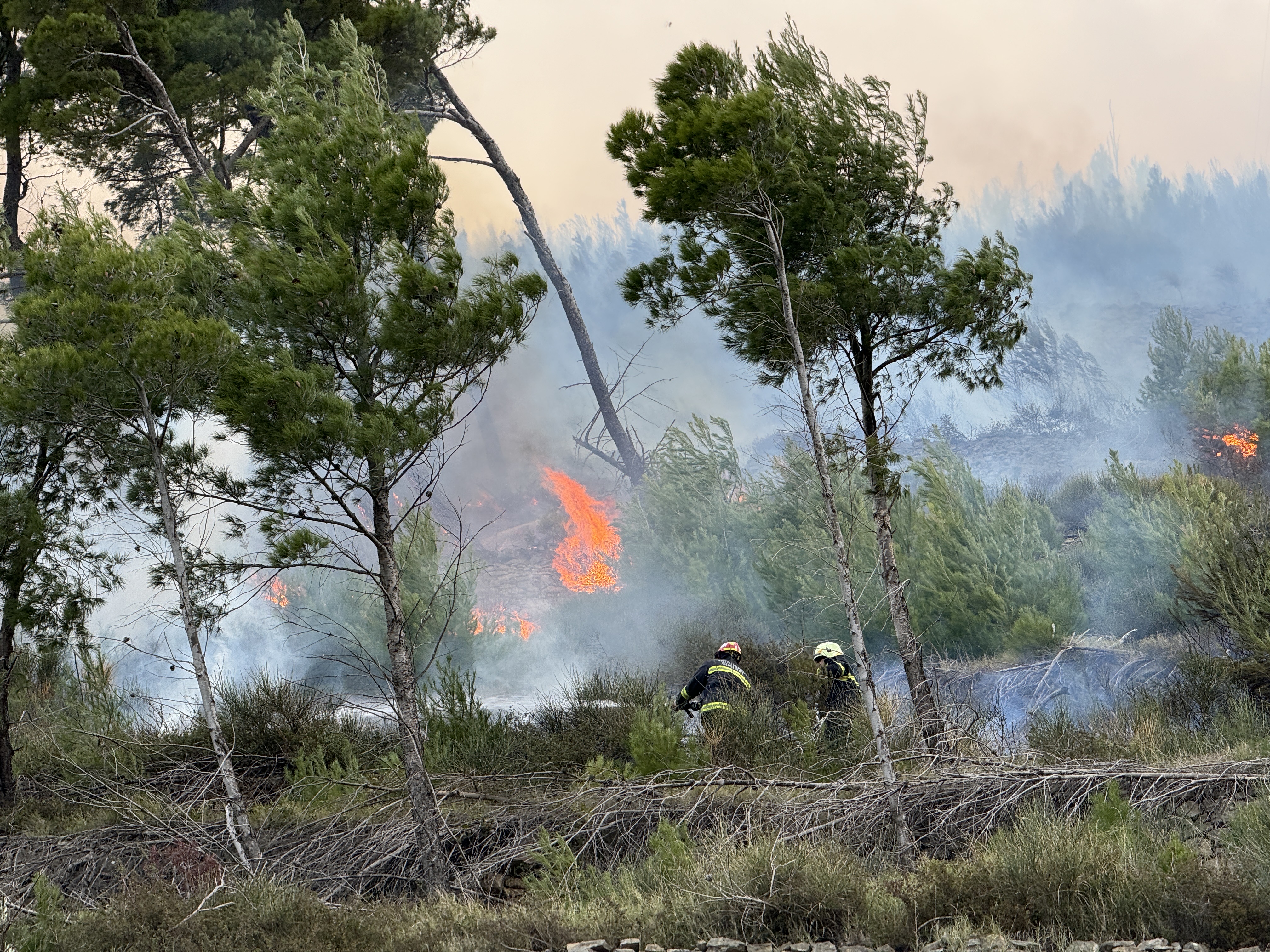Izbio je požar u okolici Splita, jak vjetar otežava gašenje