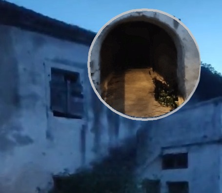 imageedit_6_2070653572