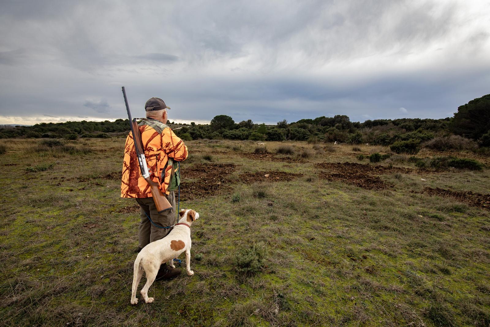 Lov na divlje svinje i čagljeve na području rta Kamenjak