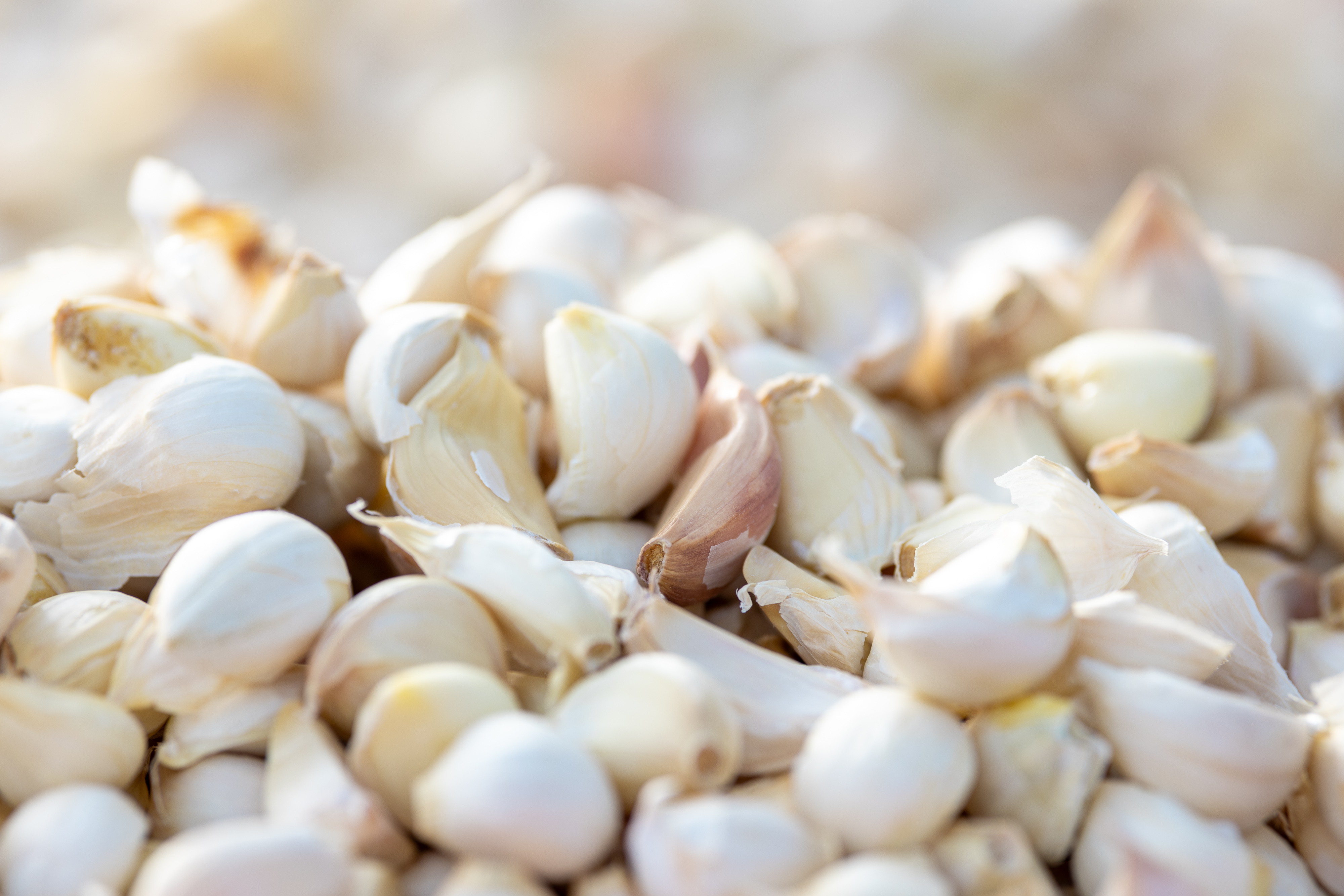 Vukovar: OPG-a Balić, vlasnik Marijan Balić