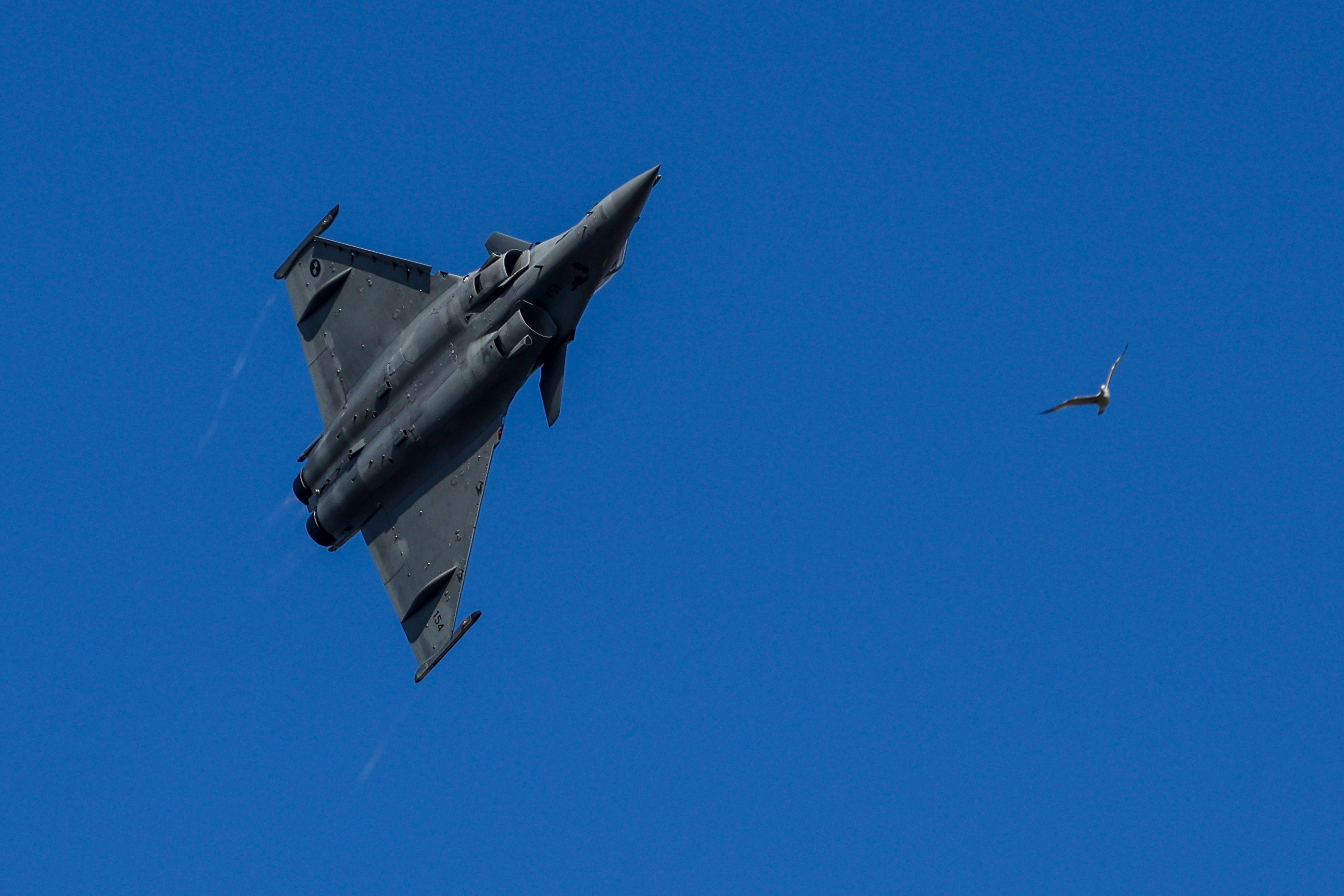 TOP 100 fotografija u 2024. godini