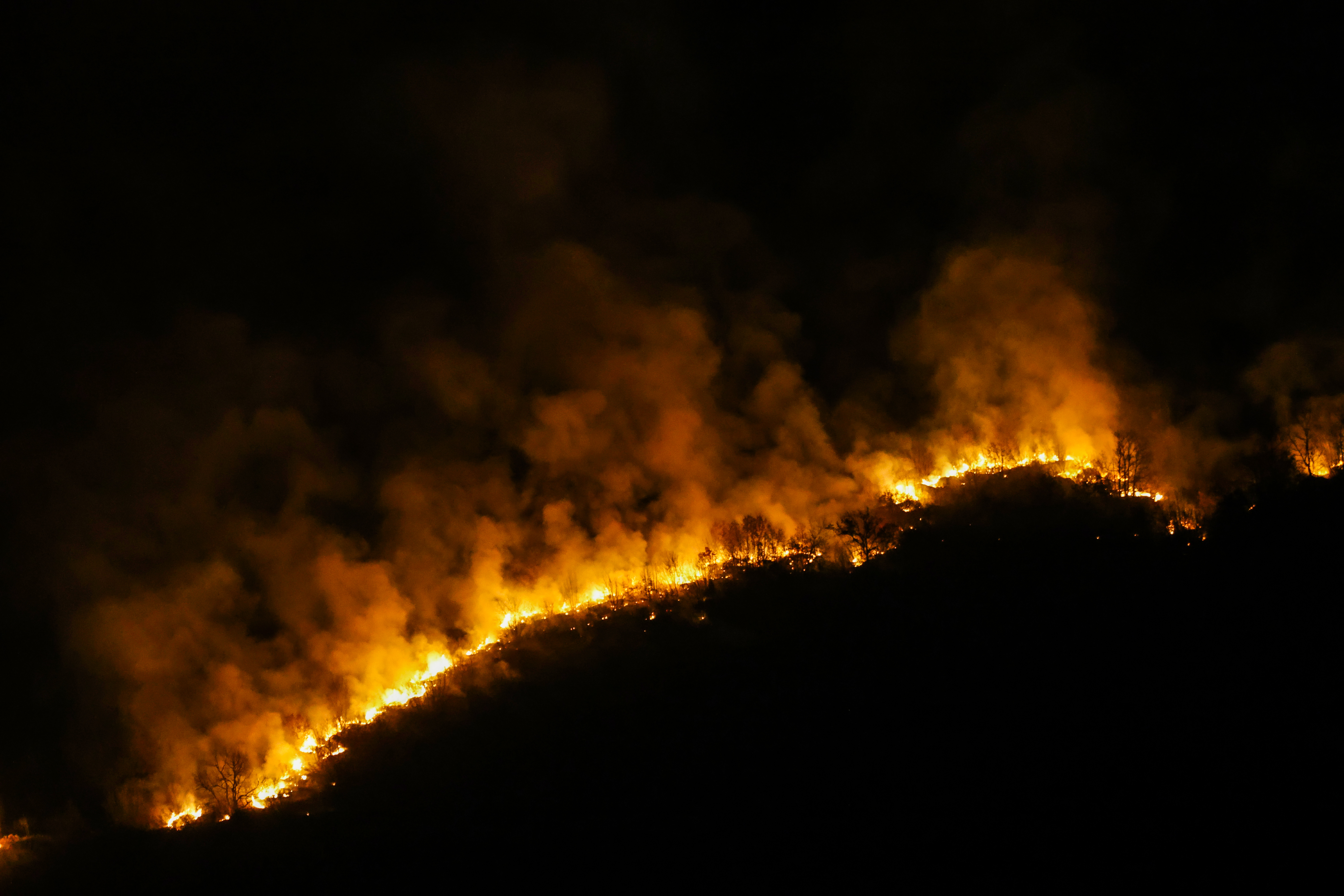 Požar koji je  poslijepodne izbio podno Učke sad je pod kontrolom