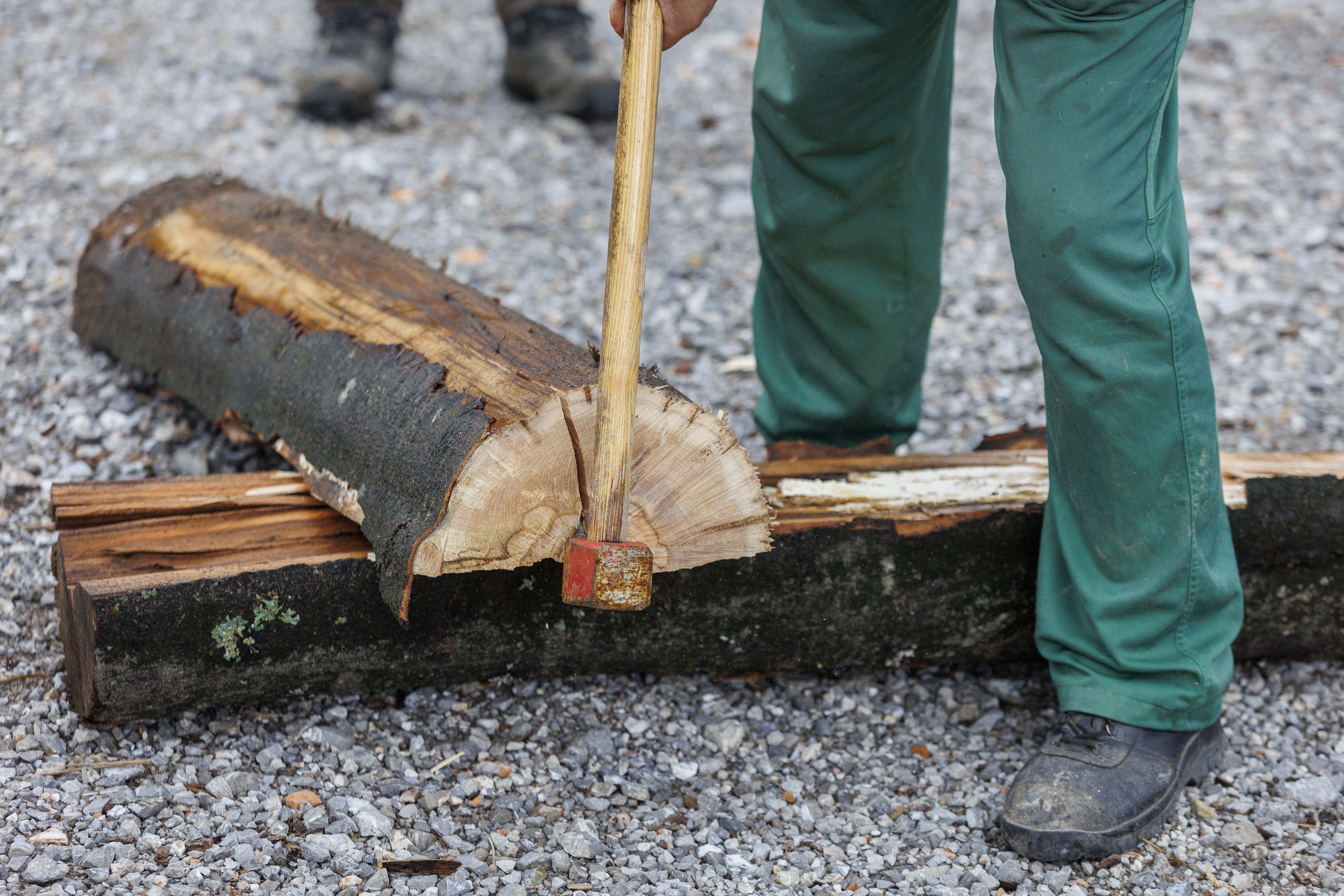 Rijeka: Drvo kao energent je ponovno u modi