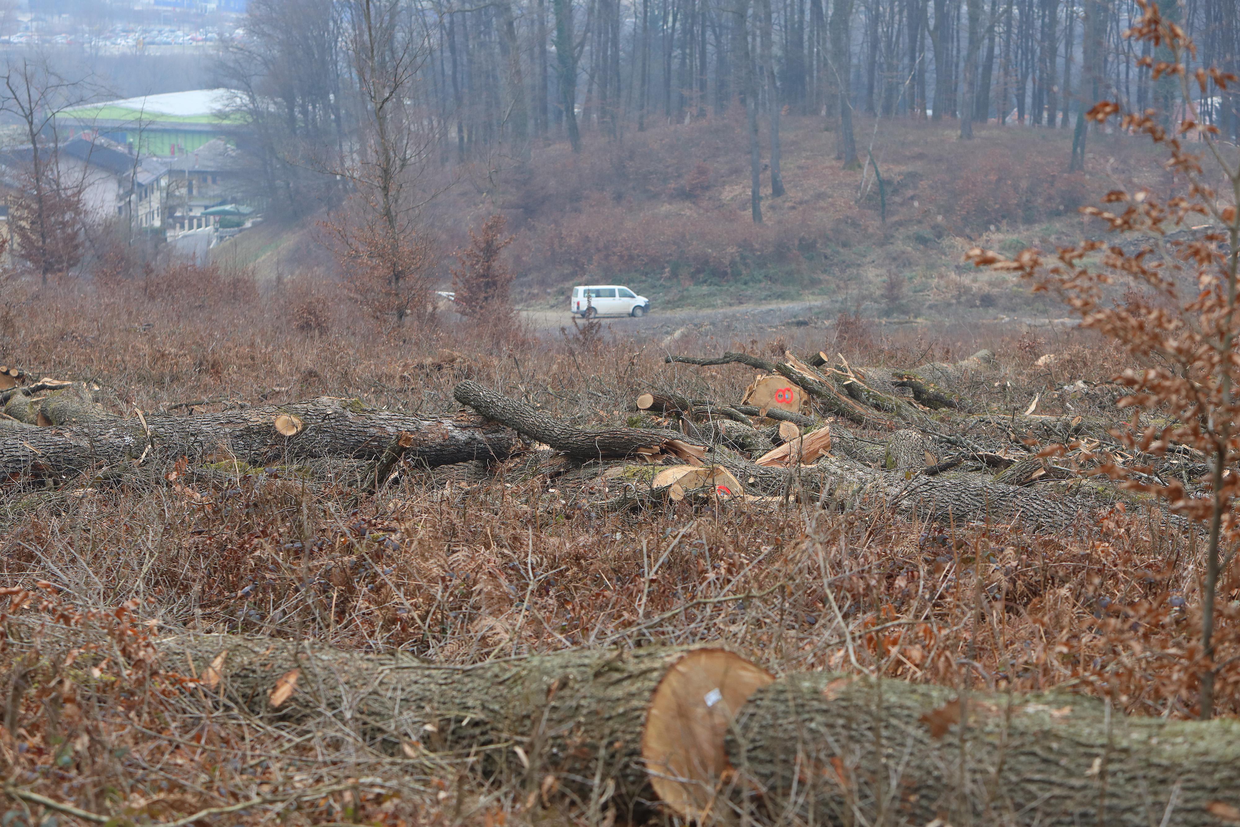 Karlovac: Konferencija za medije Uprave šuma Karlovac